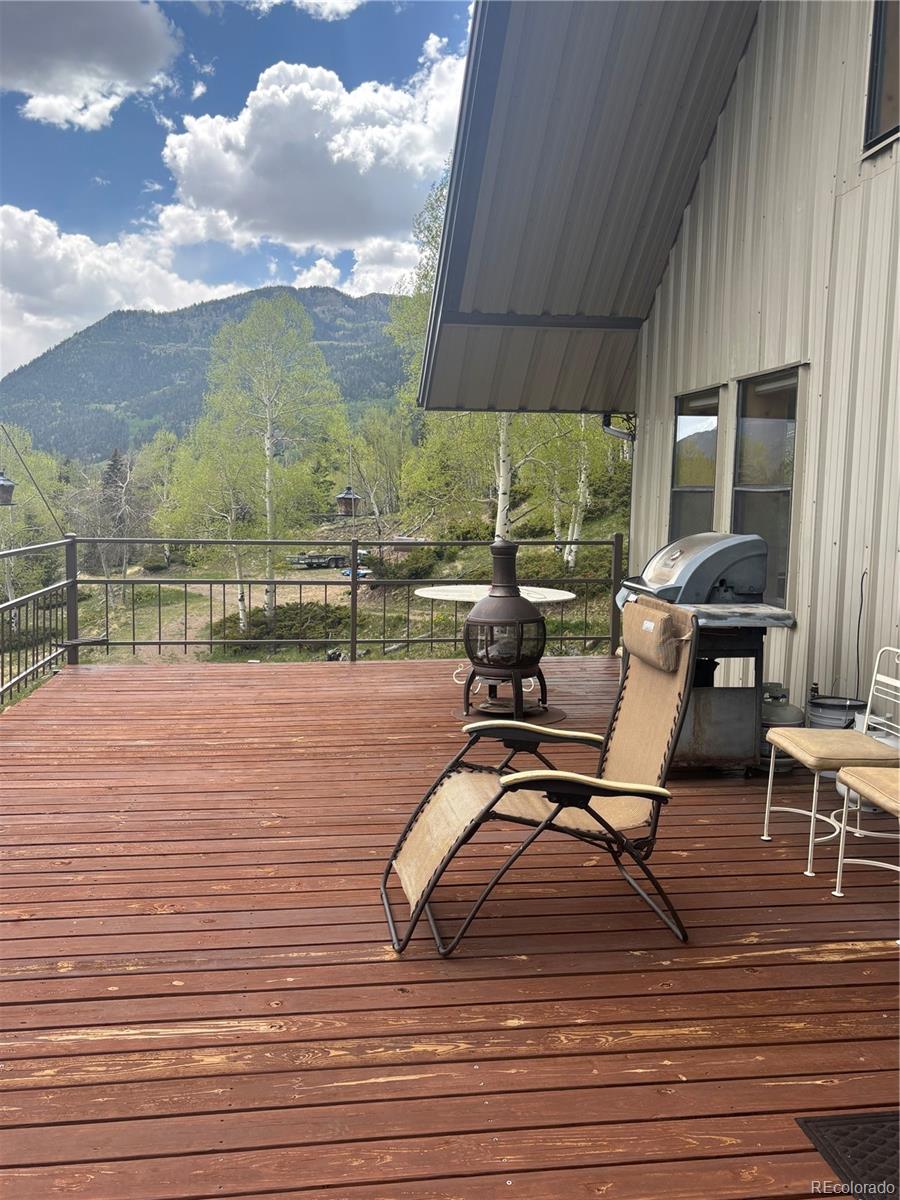 MLS Image #46 for 1113  spring street,jasper, Colorado