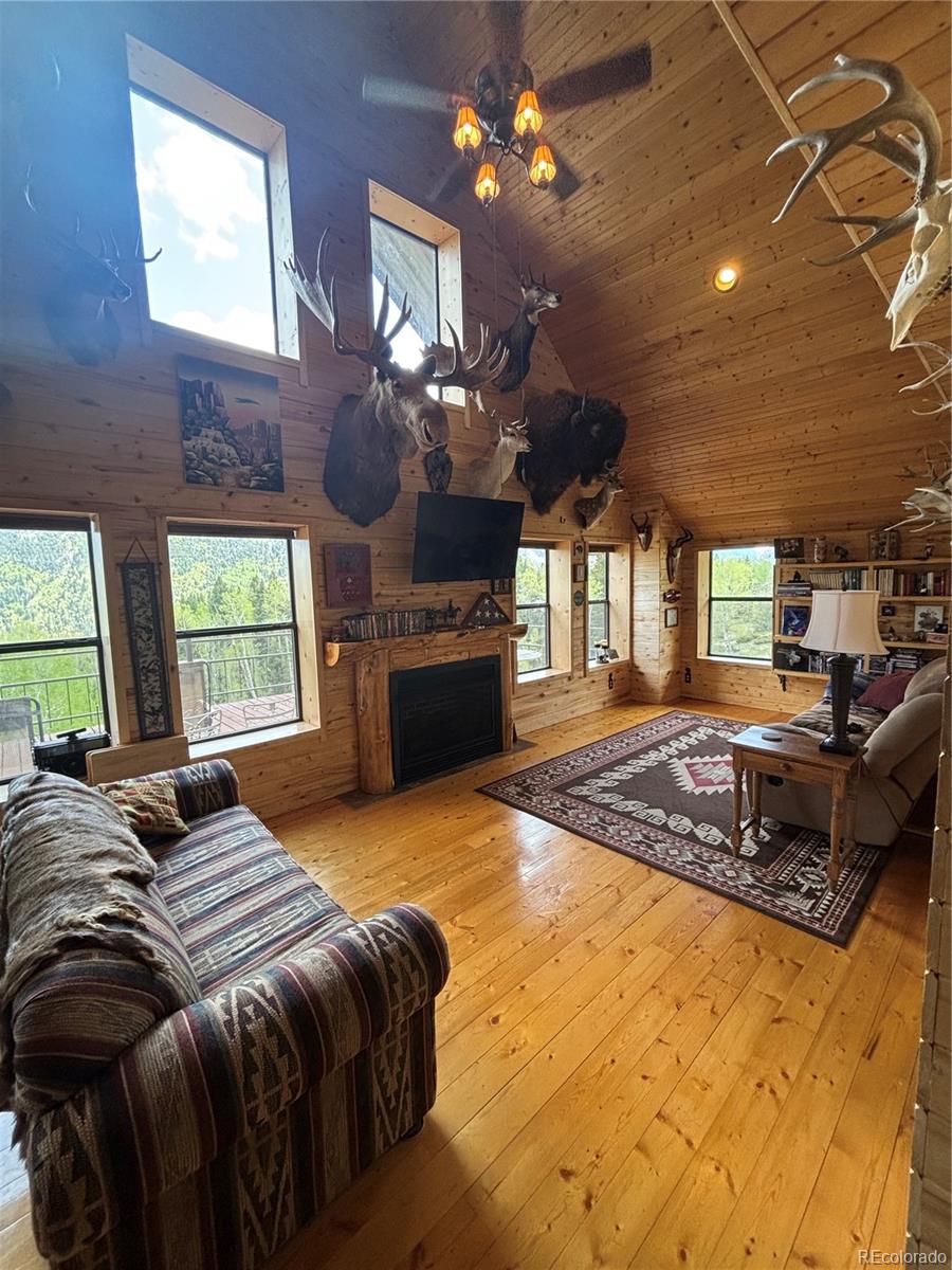 MLS Image #6 for 1113  spring street,jasper, Colorado