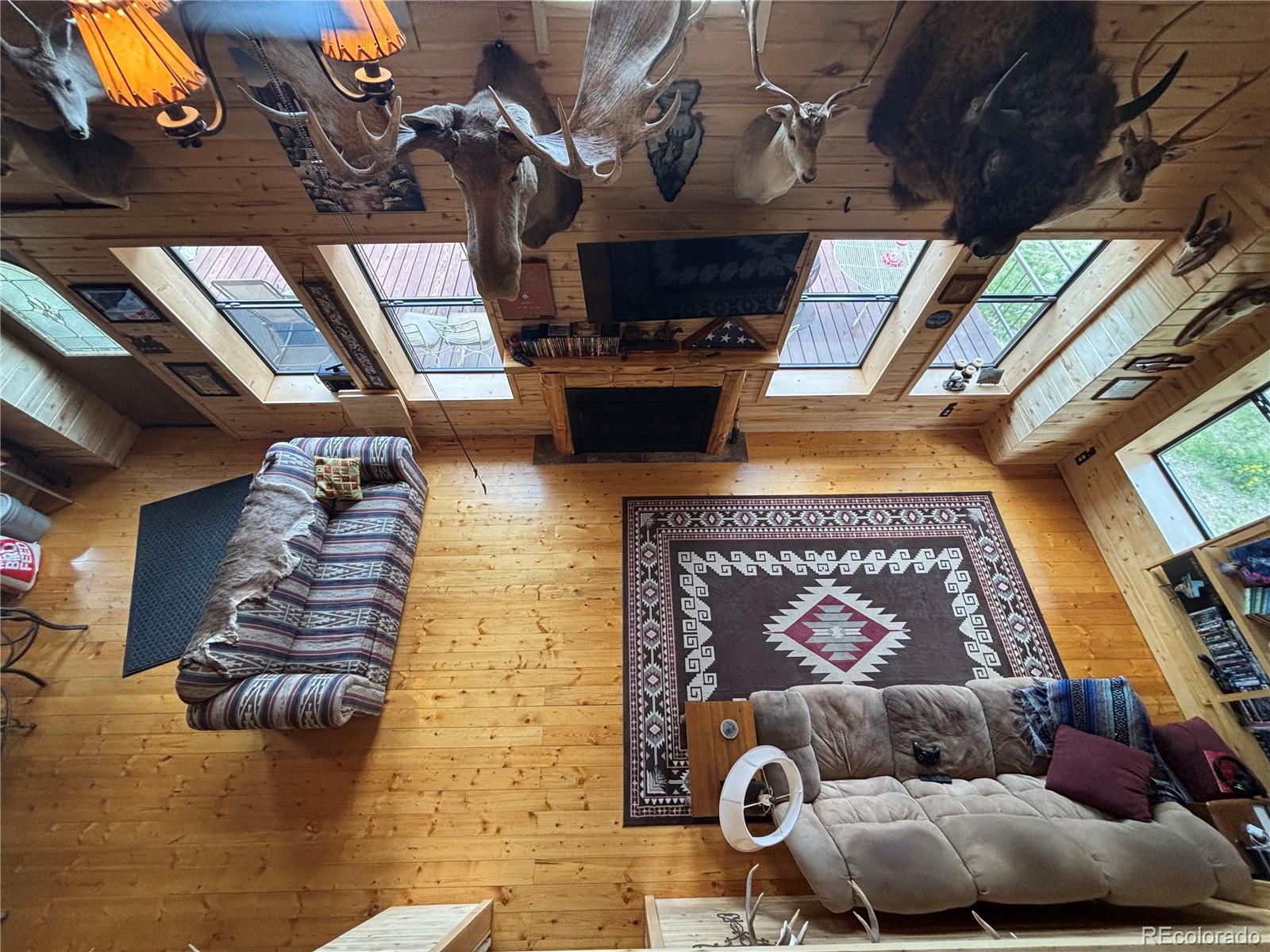 MLS Image #7 for 1113  spring street,jasper, Colorado