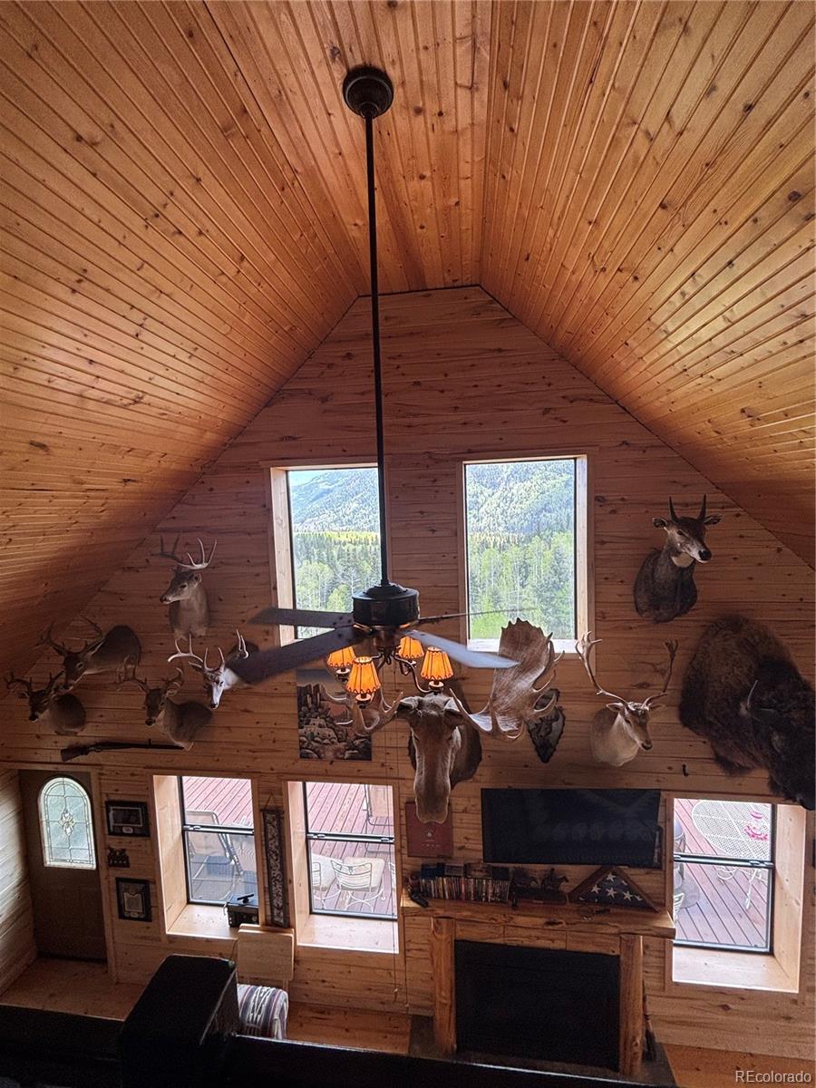 MLS Image #8 for 1113  spring street,jasper, Colorado