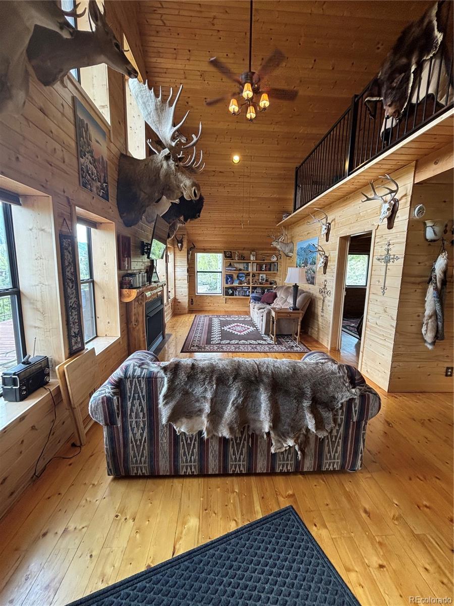 MLS Image #9 for 1113  spring street,jasper, Colorado