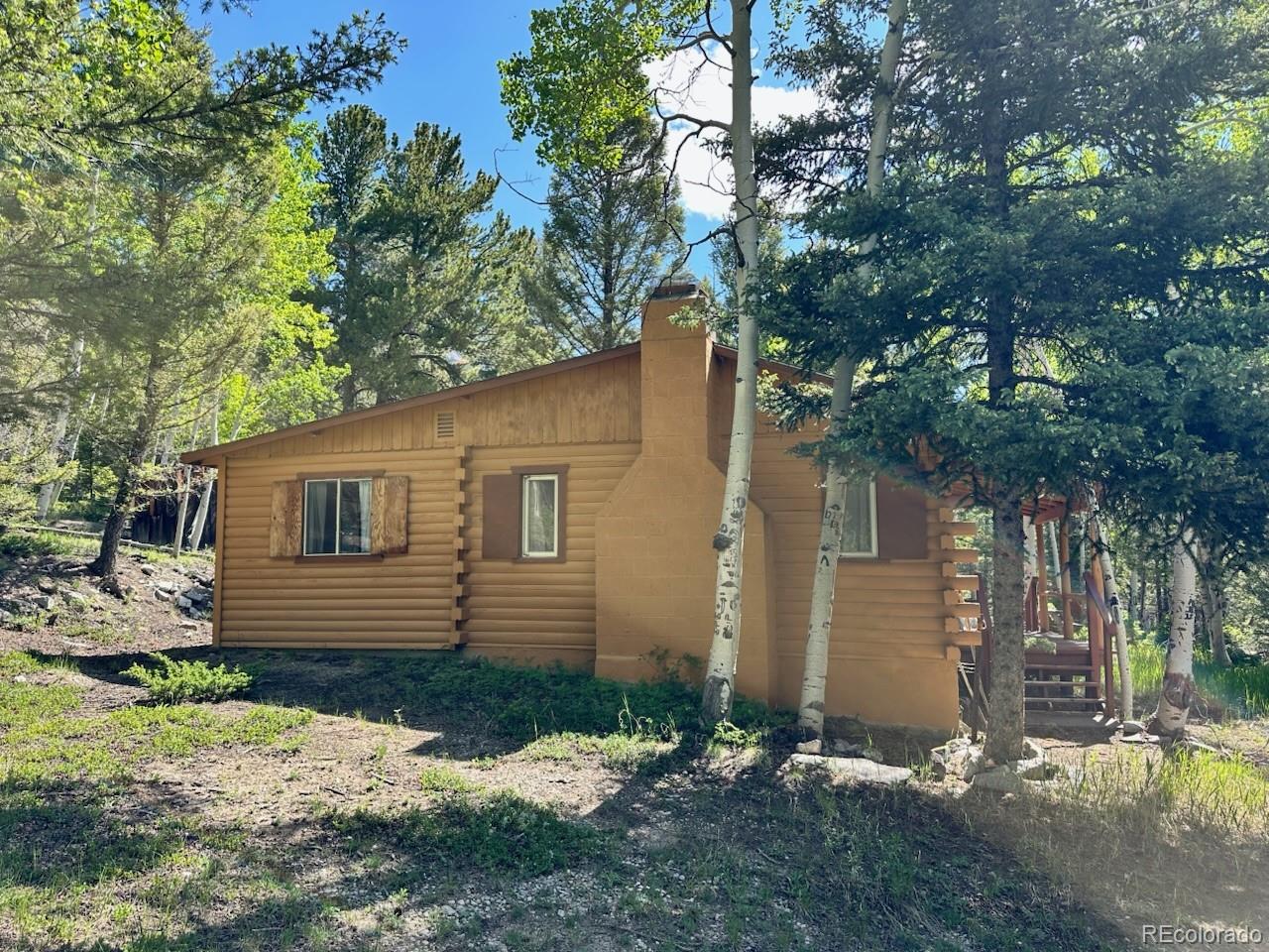 MLS Image #12 for 22560  county road 292 a ,nathrop, Colorado