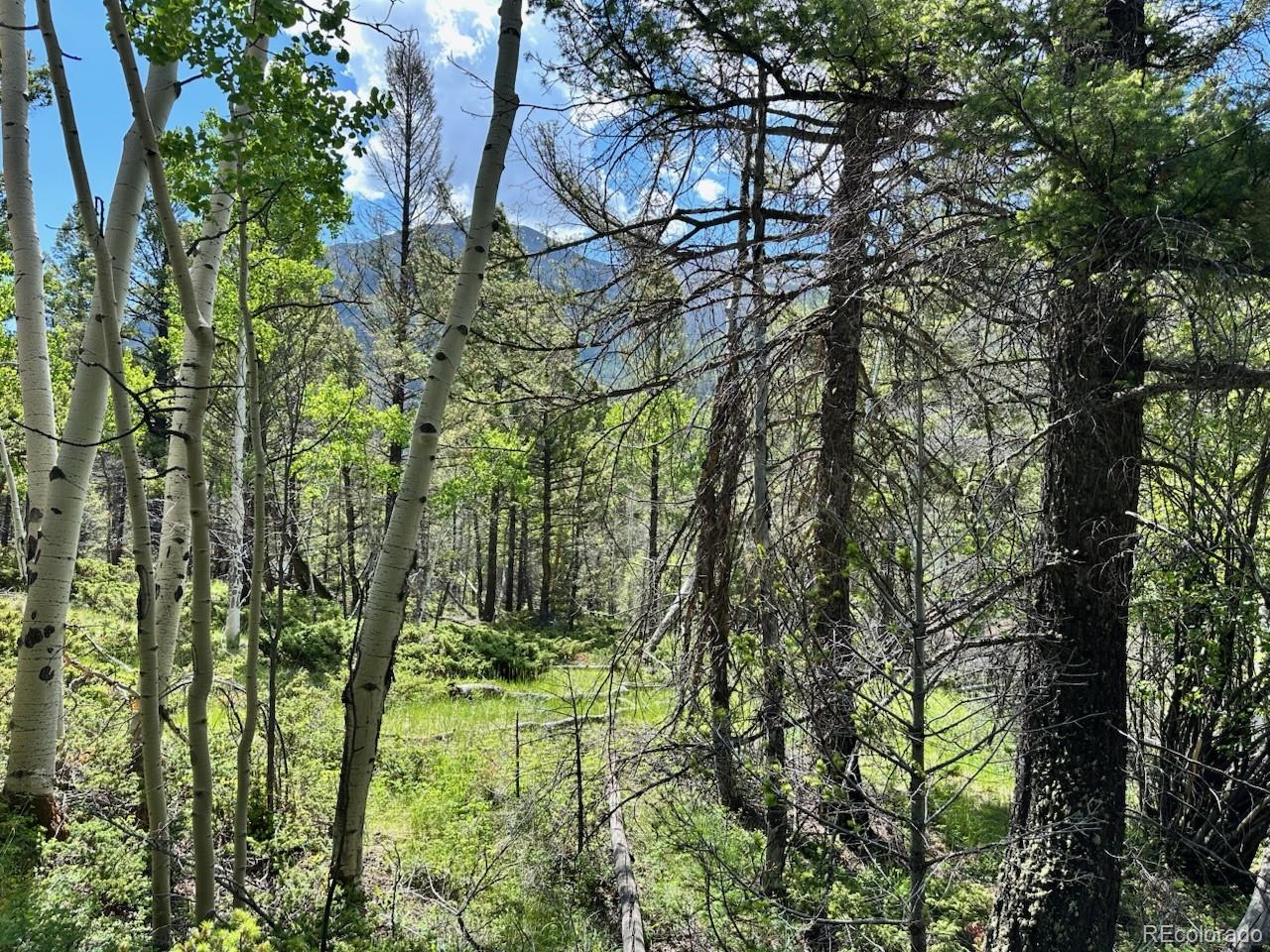 MLS Image #16 for 22560  county road 292 a ,nathrop, Colorado