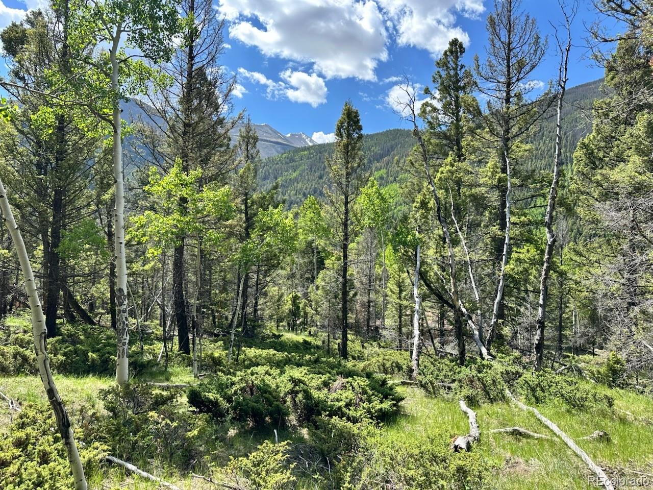 MLS Image #17 for 22560  county road 292 a ,nathrop, Colorado