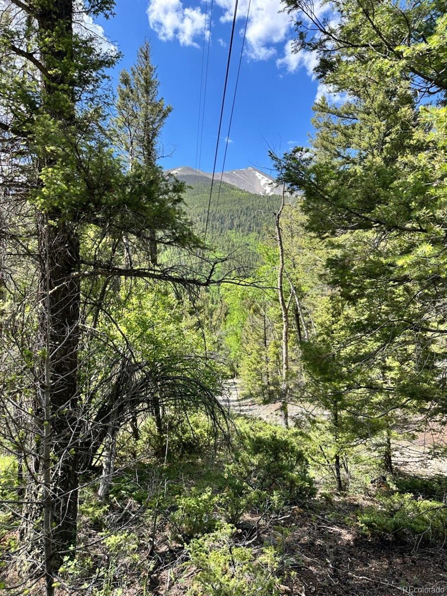 MLS Image #18 for 22560  county road 292 a ,nathrop, Colorado