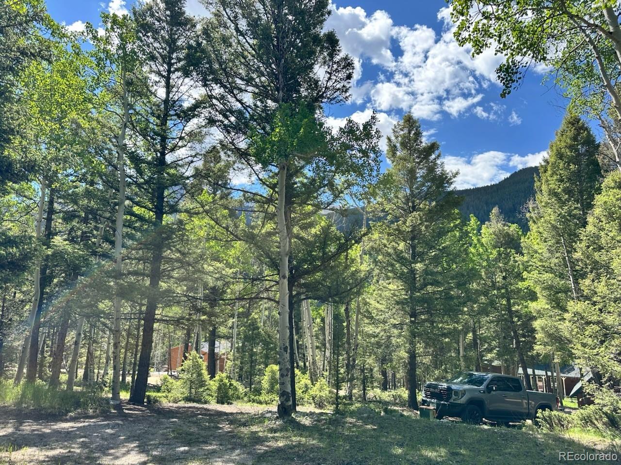 MLS Image #19 for 22560  county road 292 a ,nathrop, Colorado