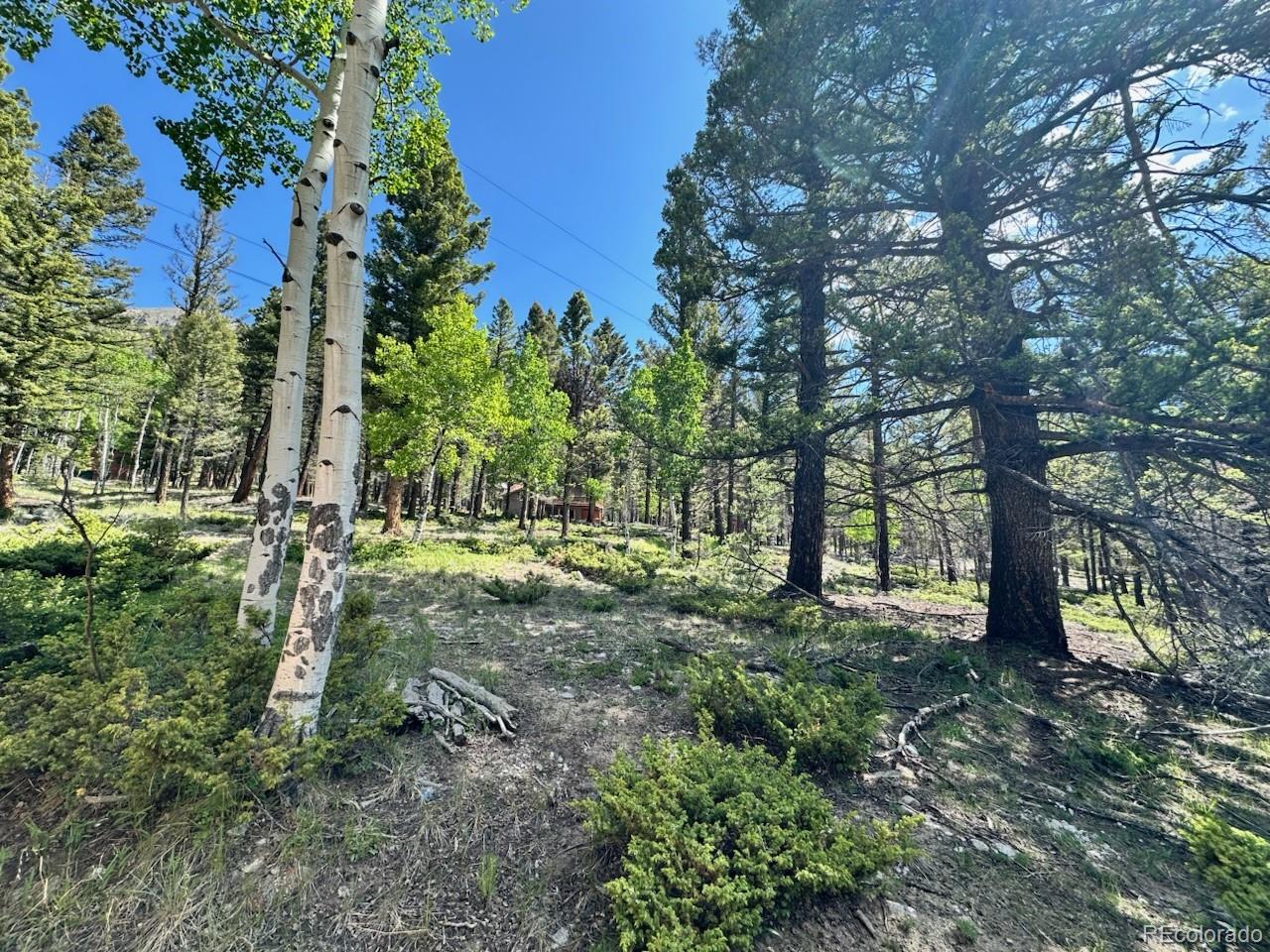 MLS Image #21 for 22560  county road 292 a ,nathrop, Colorado