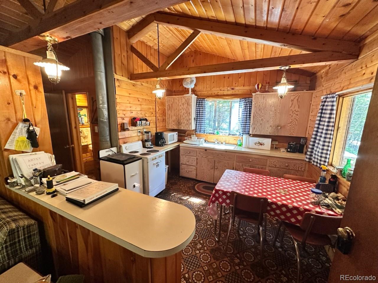 MLS Image #4 for 22560  county road 292 a ,nathrop, Colorado