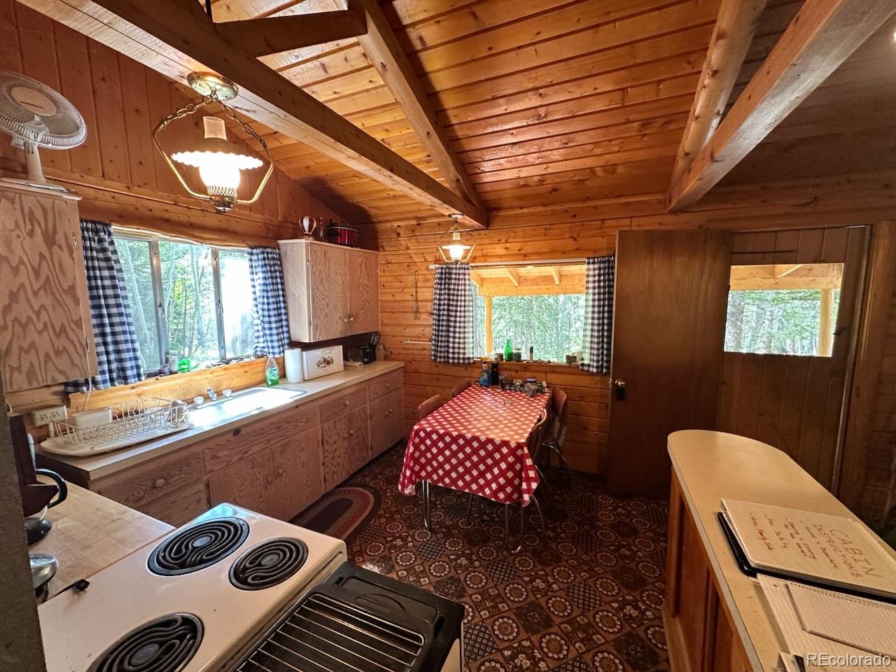 MLS Image #5 for 22560  county road 292 a ,nathrop, Colorado