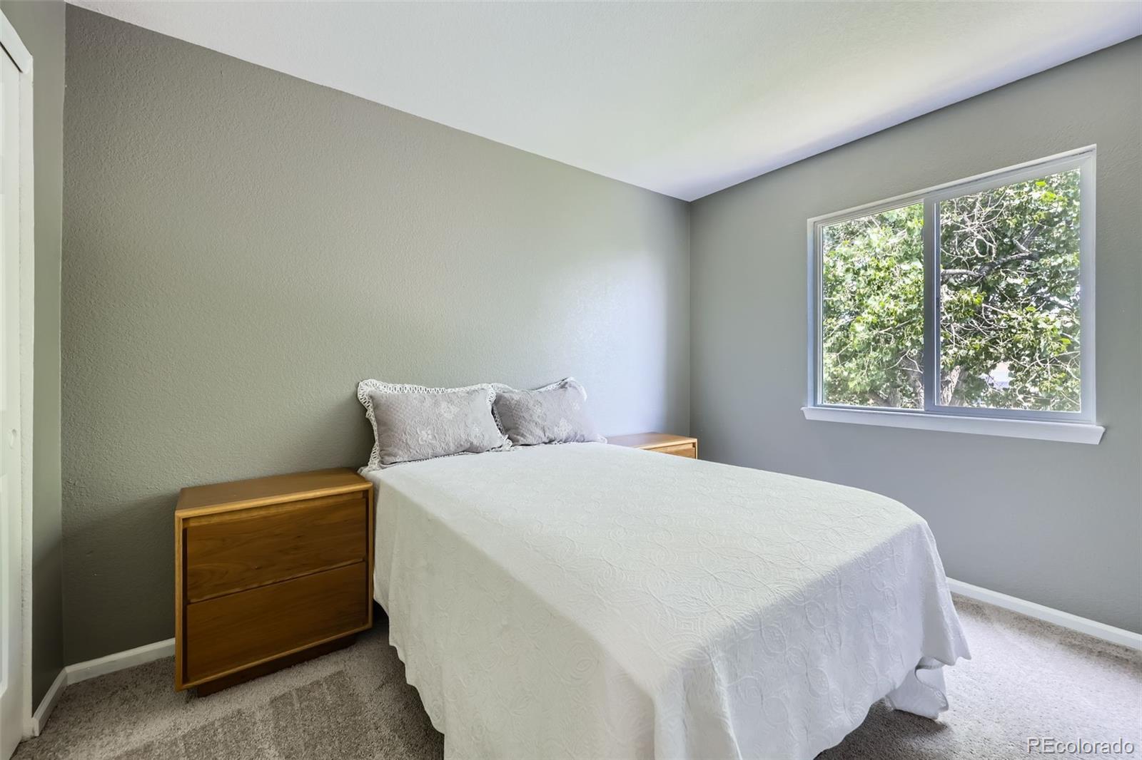 MLS Image #19 for 9890  gaylord street,thornton, Colorado