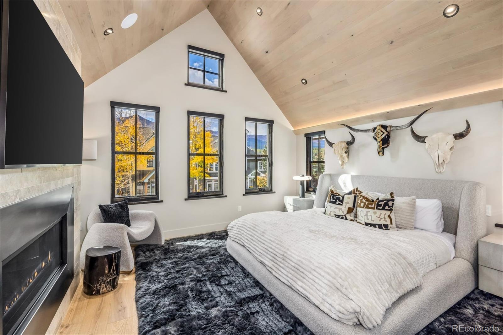 MLS Image #22 for 224 s ridge street,breckenridge, Colorado