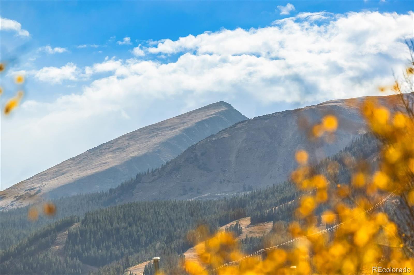 MLS Image #27 for 224 s ridge street,breckenridge, Colorado