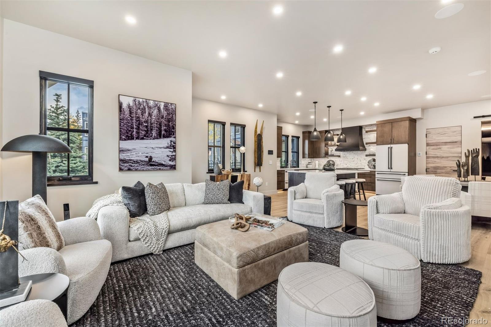MLS Image #9 for 224 s ridge street,breckenridge, Colorado
