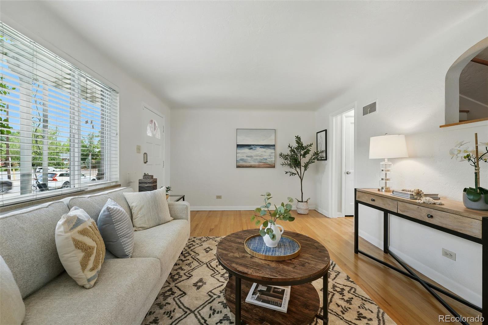 MLS Image #7 for 1376  ivanhoe street,denver, Colorado