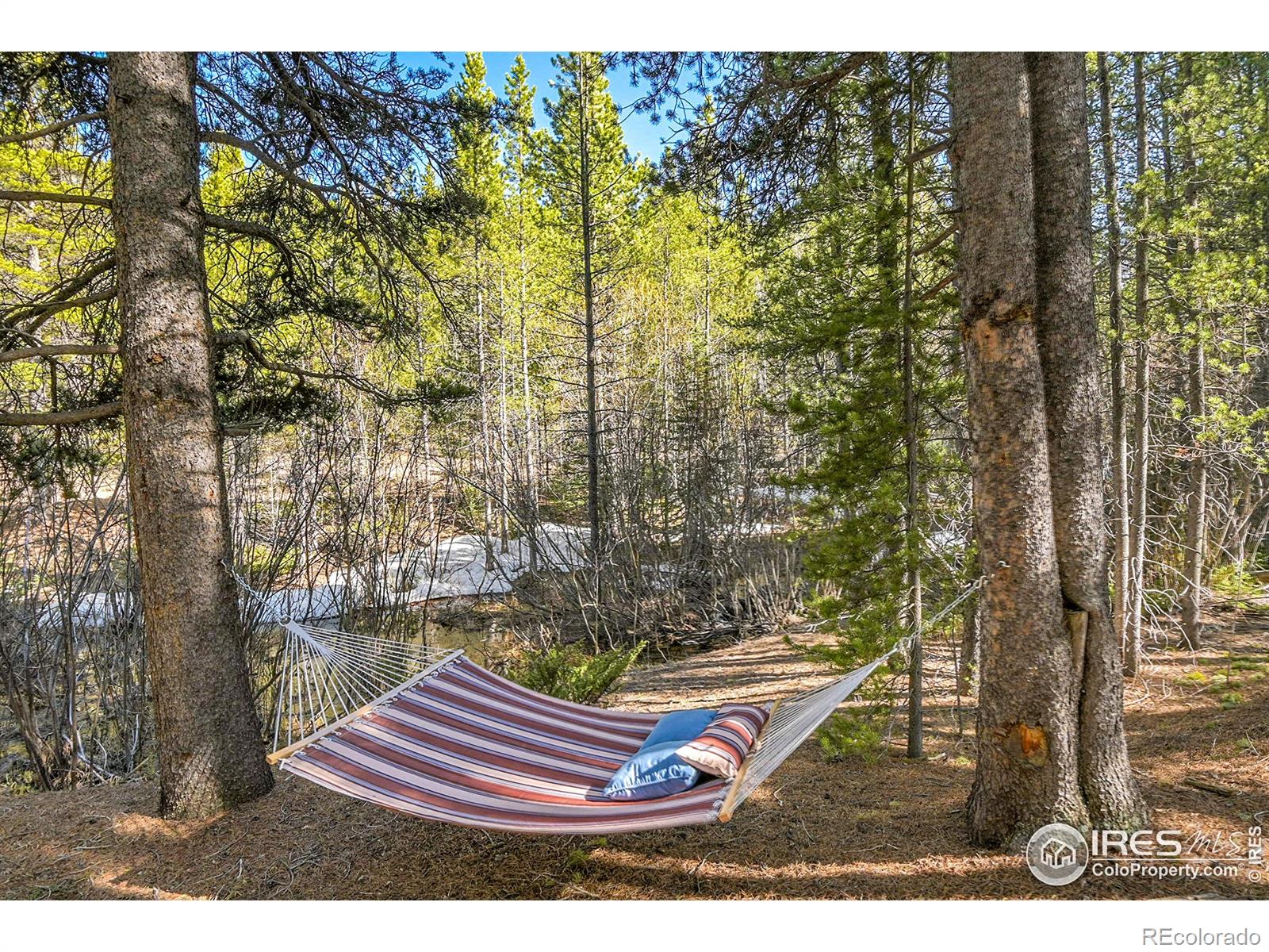 MLS Image #26 for 398  mountain view drive,black hawk, Colorado