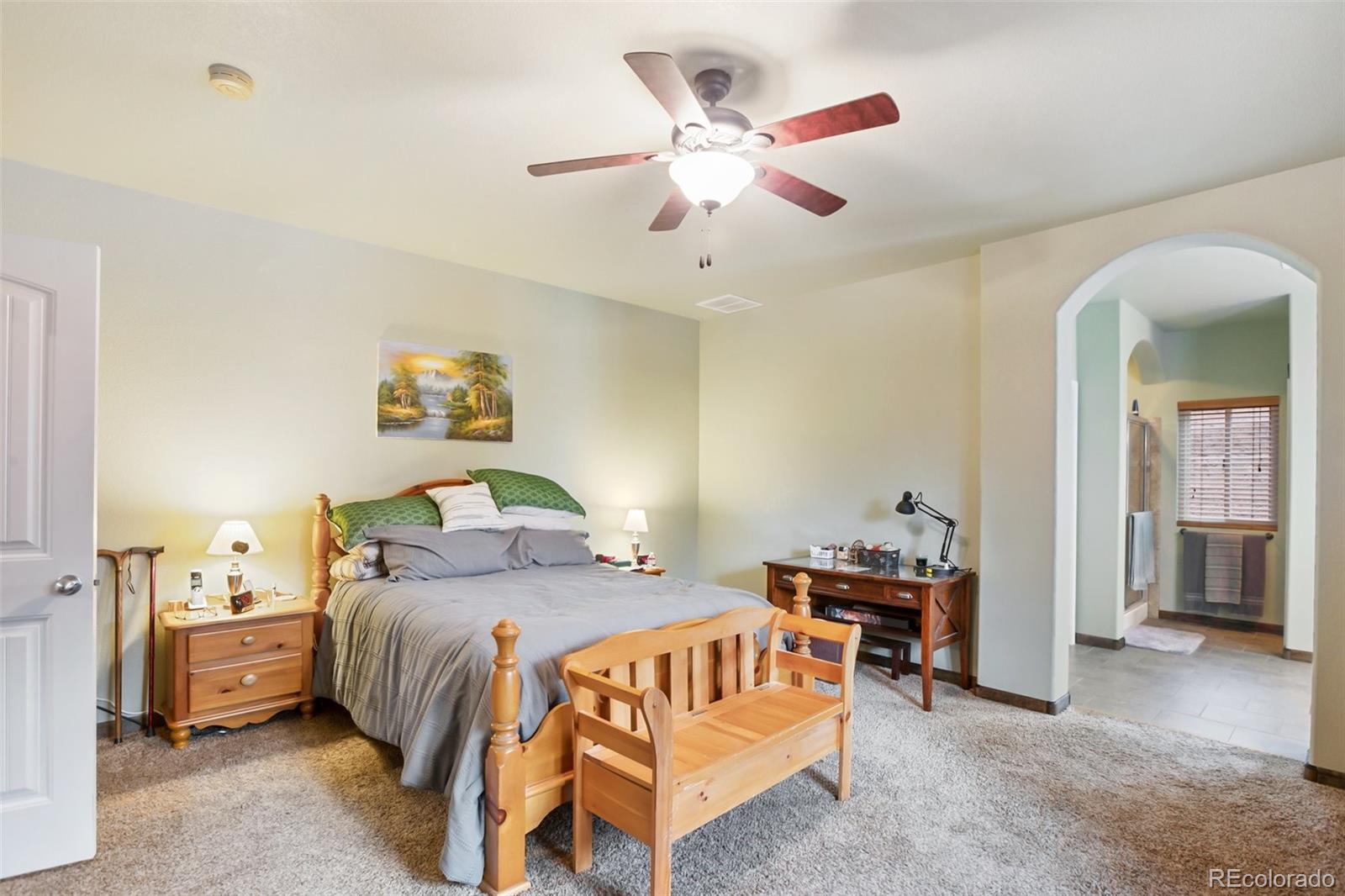 MLS Image #16 for 16  rainier circle,florissant, Colorado