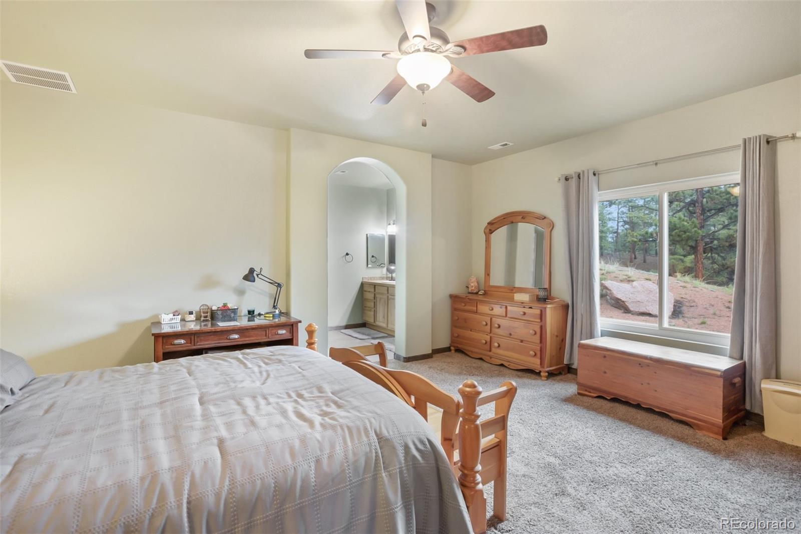 MLS Image #17 for 16  rainier circle,florissant, Colorado