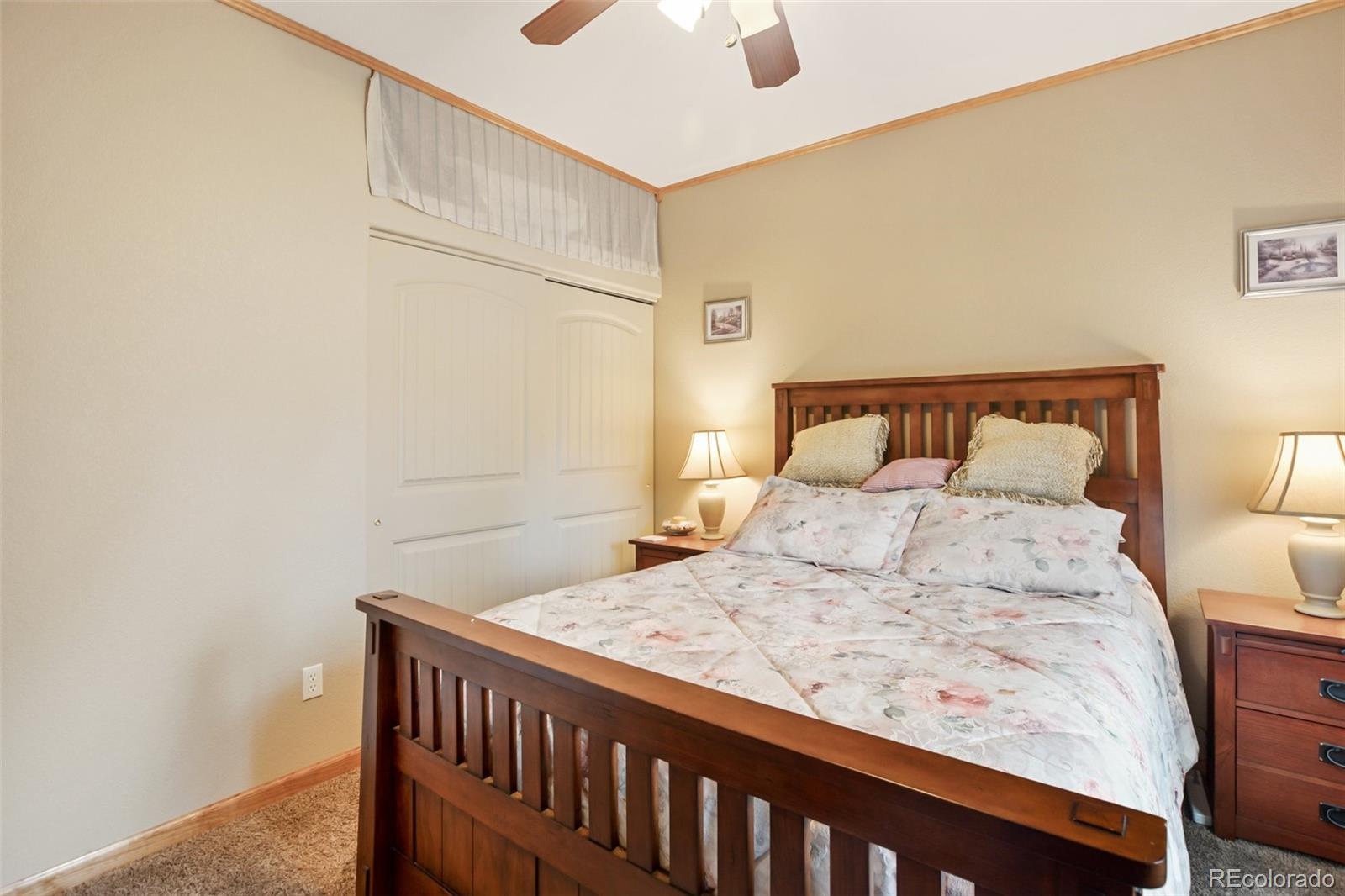 MLS Image #18 for 16  rainier circle,florissant, Colorado