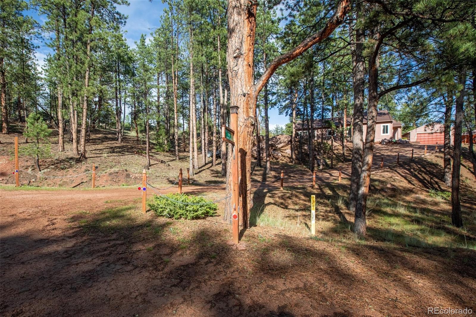 MLS Image #5 for 16  rainier circle,florissant, Colorado