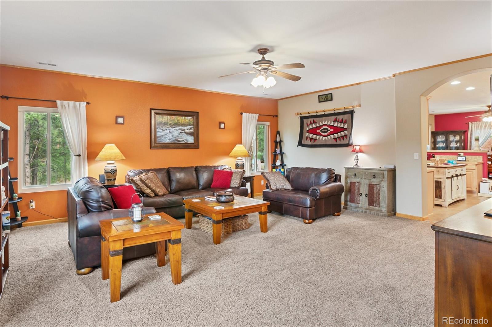 MLS Image #6 for 16  rainier circle,florissant, Colorado