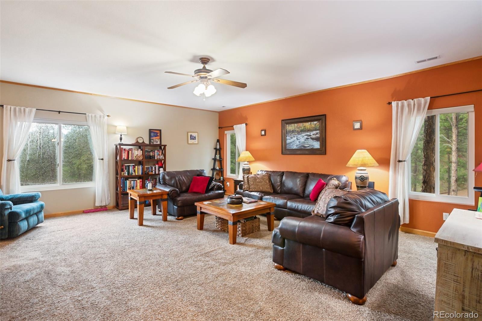 MLS Image #7 for 16  rainier circle,florissant, Colorado
