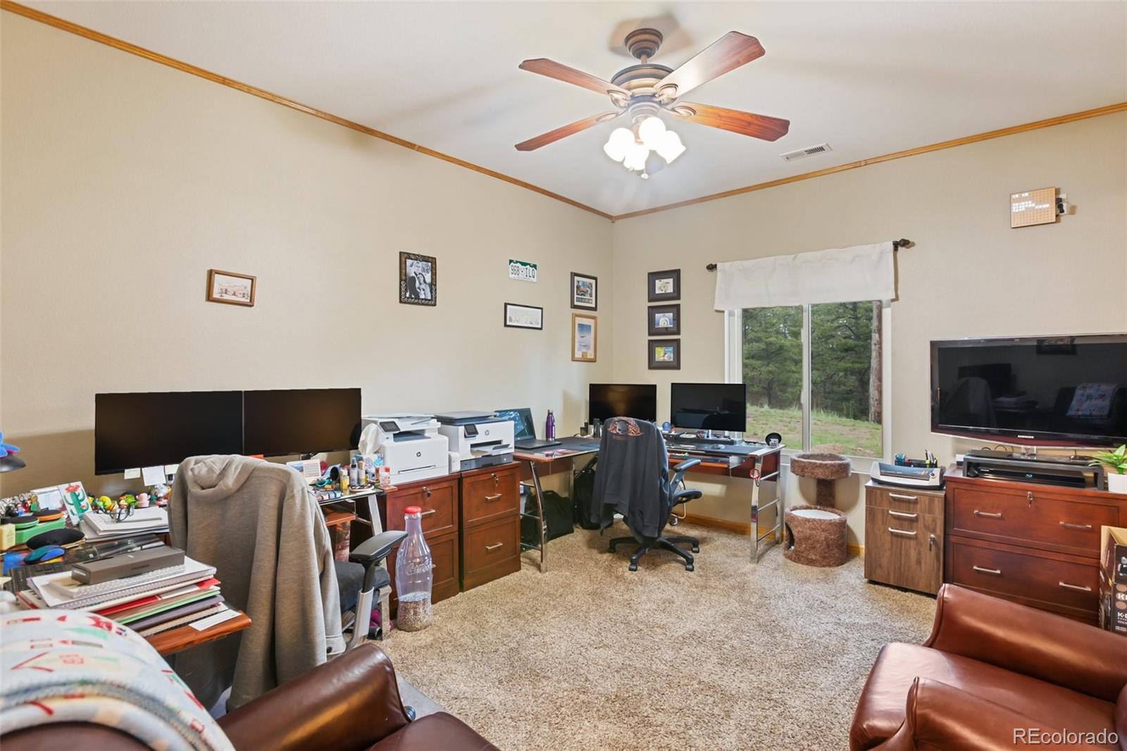 MLS Image #9 for 16  rainier circle,florissant, Colorado