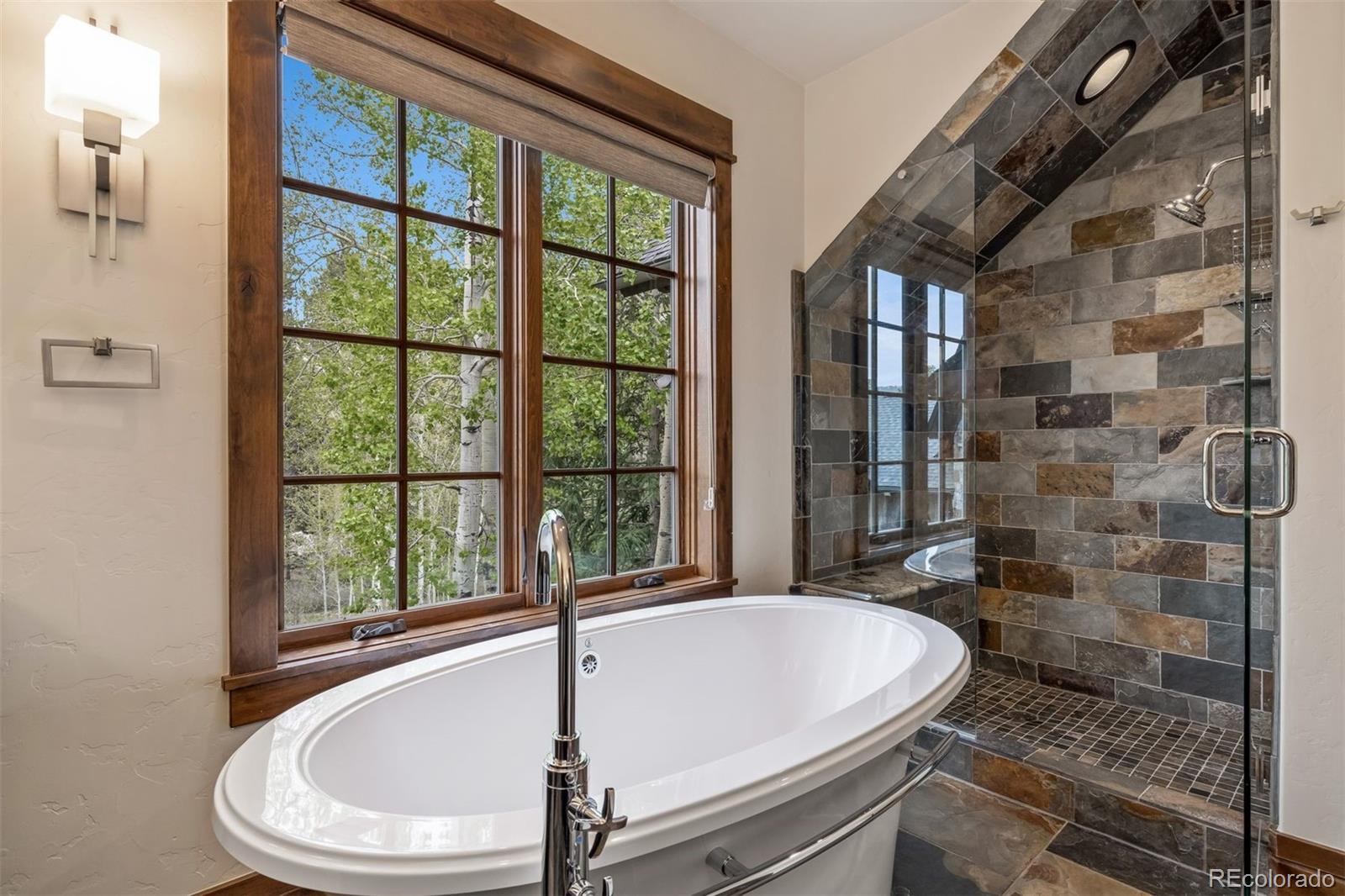 MLS Image #30 for 215  royal tiger road,breckenridge, Colorado