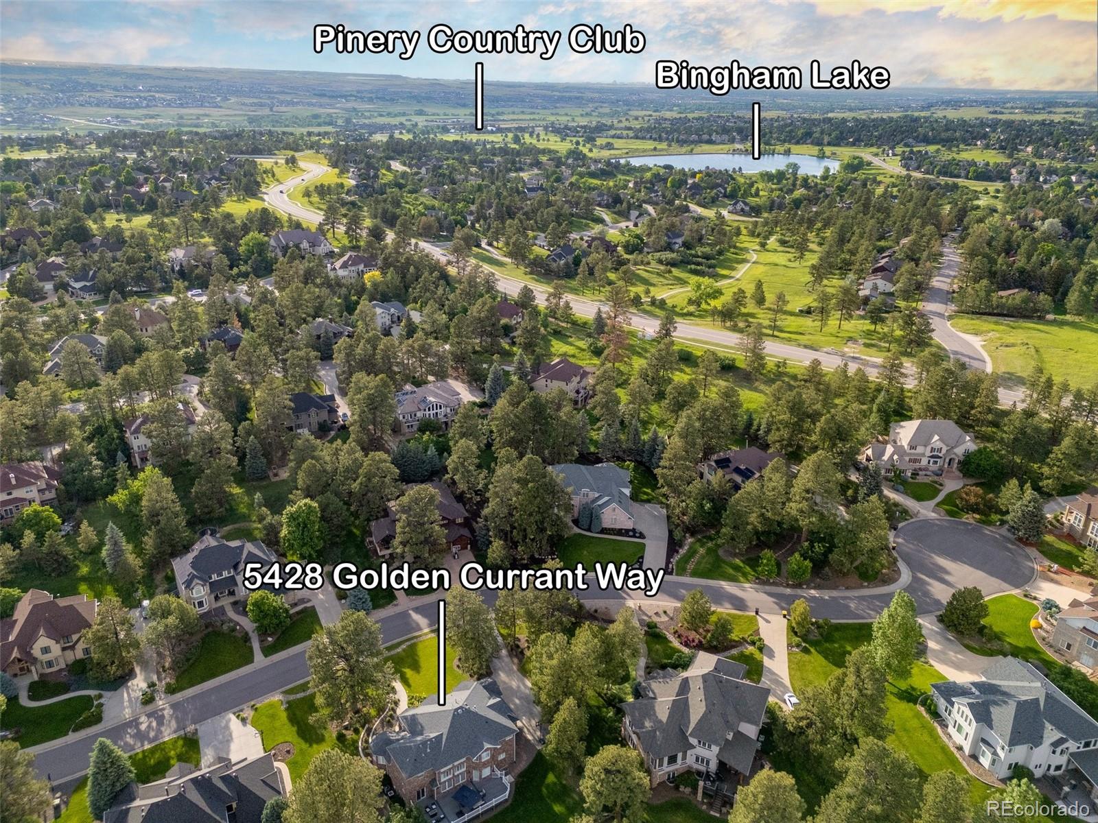 MLS Image #49 for 5428  golden currant way,parker, Colorado