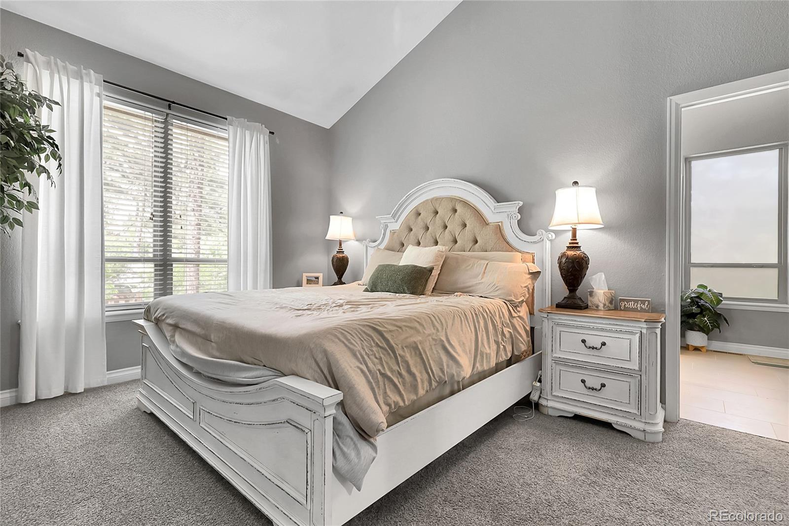 MLS Image #19 for 171  columbine street,larkspur, Colorado