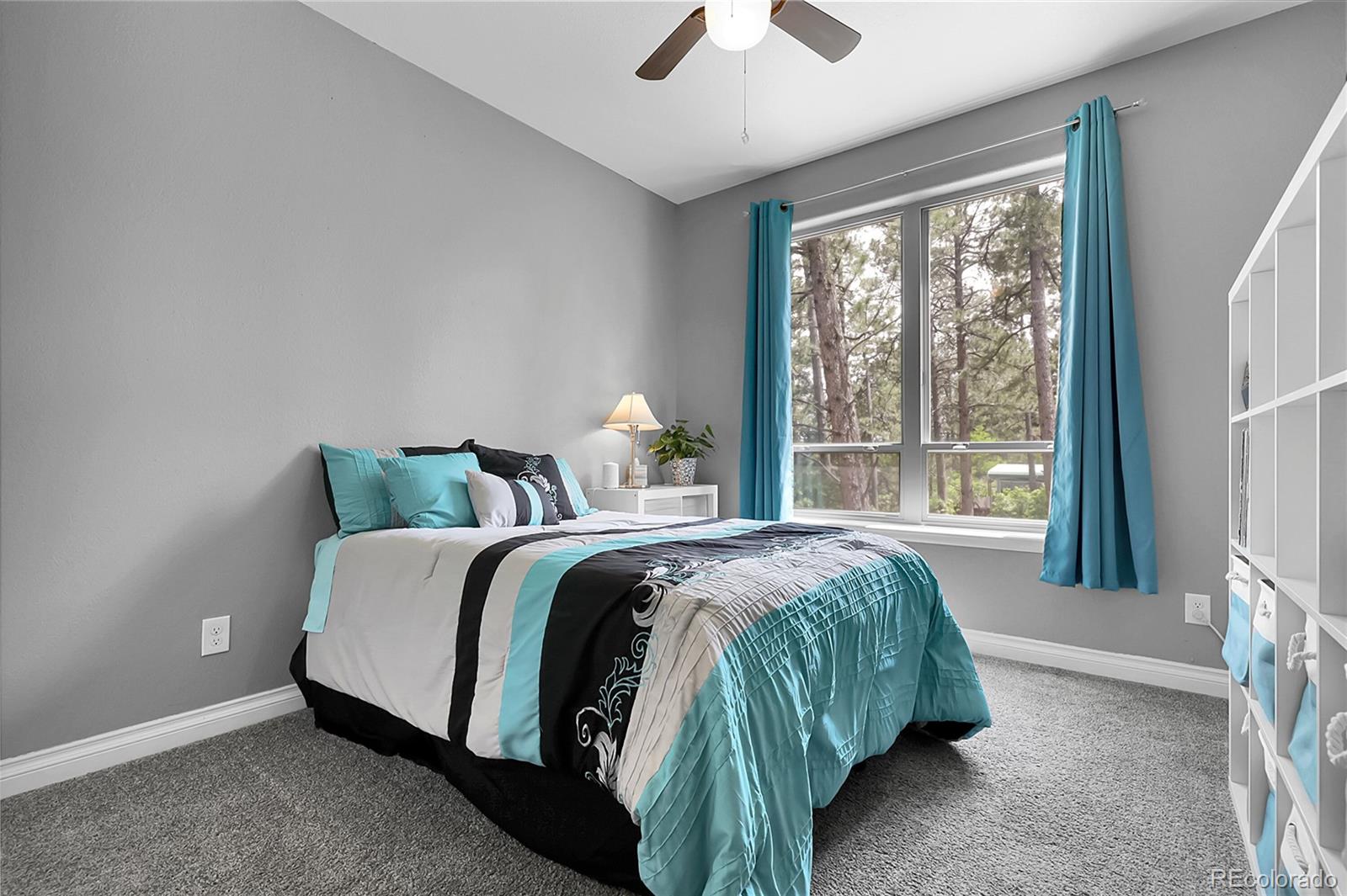 MLS Image #25 for 171  columbine street,larkspur, Colorado