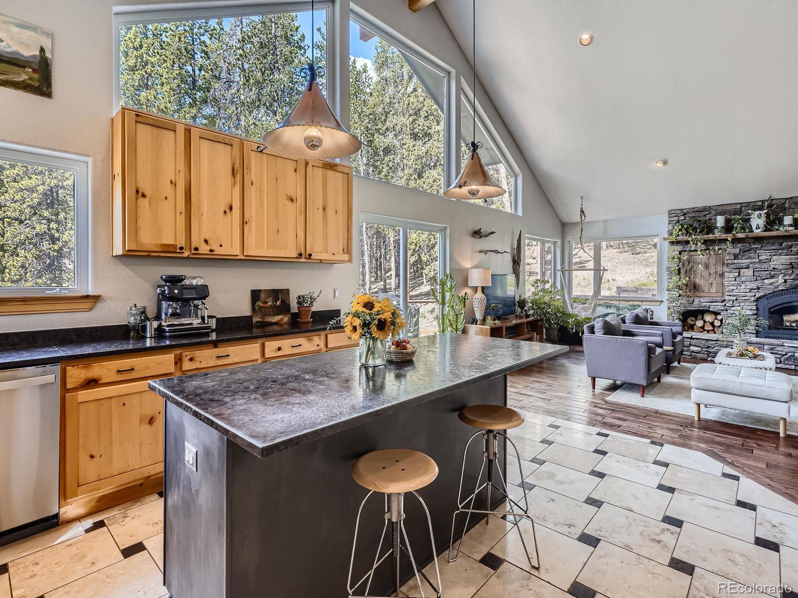 MLS Image #10 for 32663  donna drive,conifer, Colorado