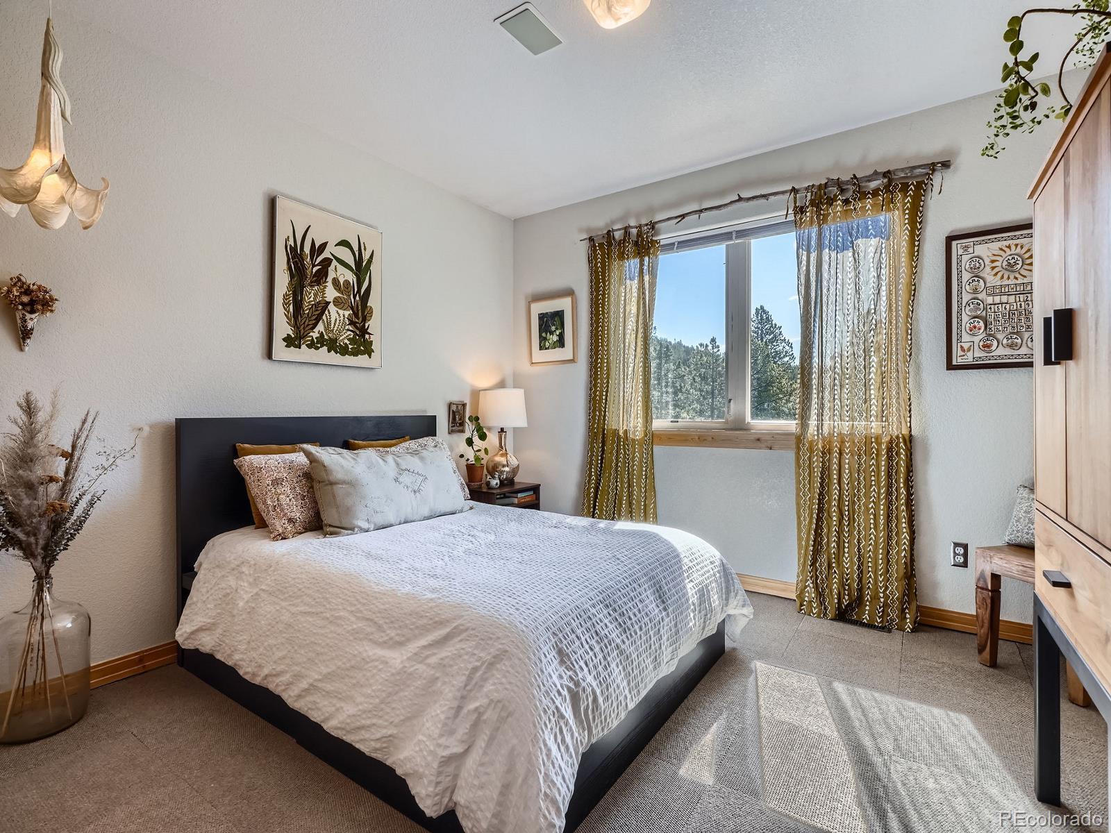 MLS Image #21 for 32663  donna drive,conifer, Colorado