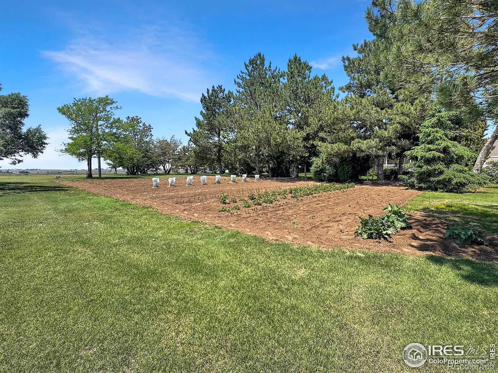 MLS Image #32 for 27505  county road 41 ,akron, Colorado
