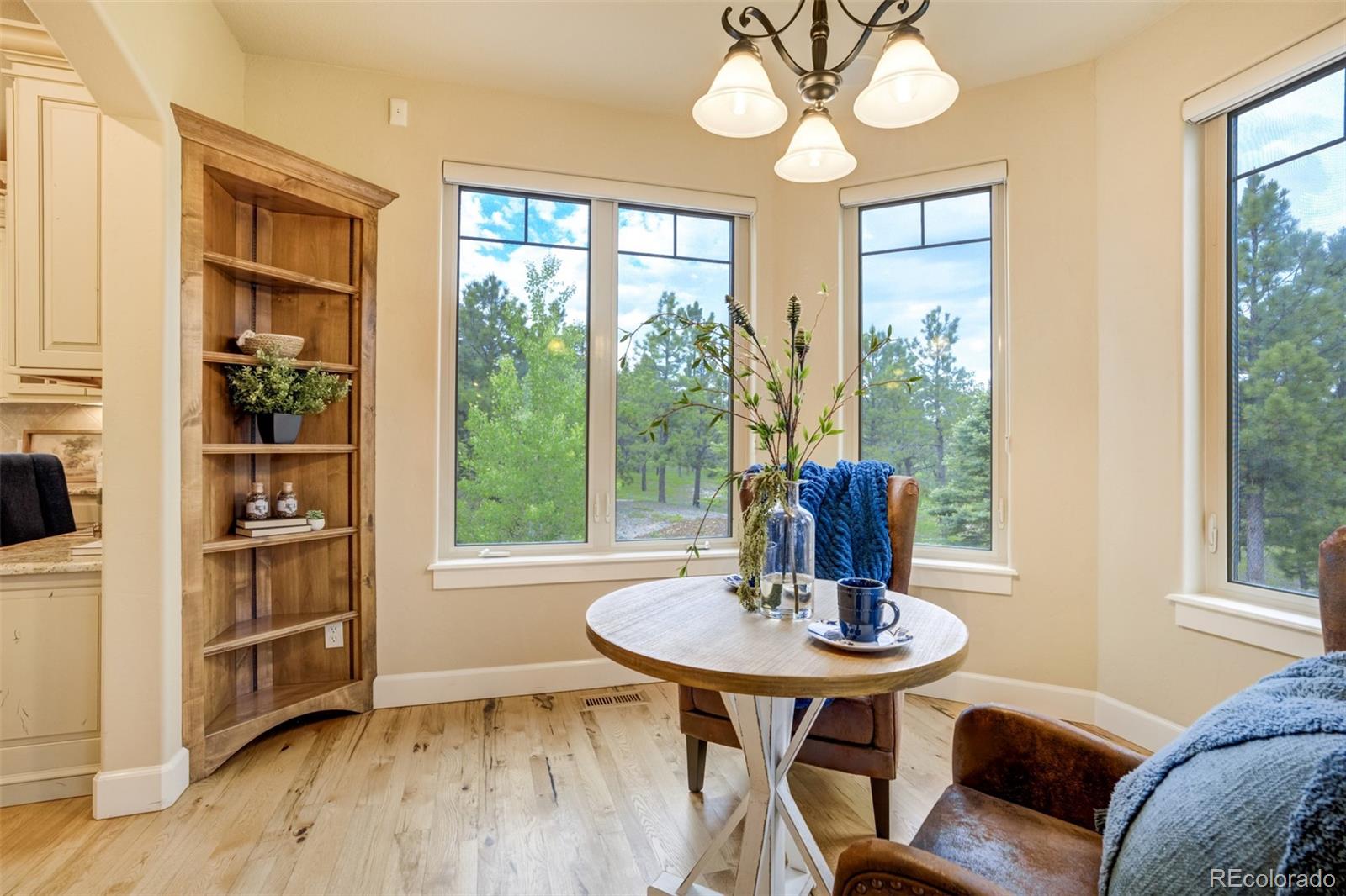 MLS Image #20 for 5085  saxton hollow road,colorado springs, Colorado