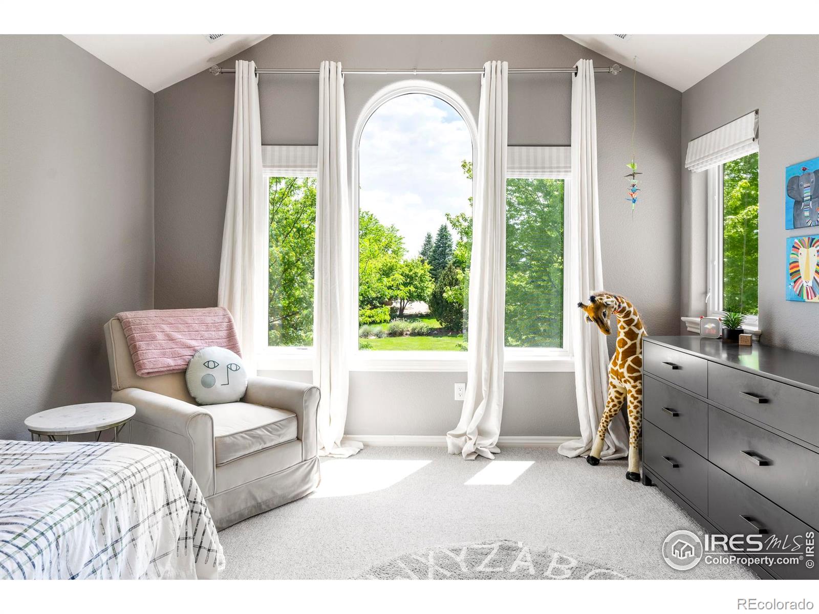 MLS Image #22 for 8911  little raven trail,niwot, Colorado