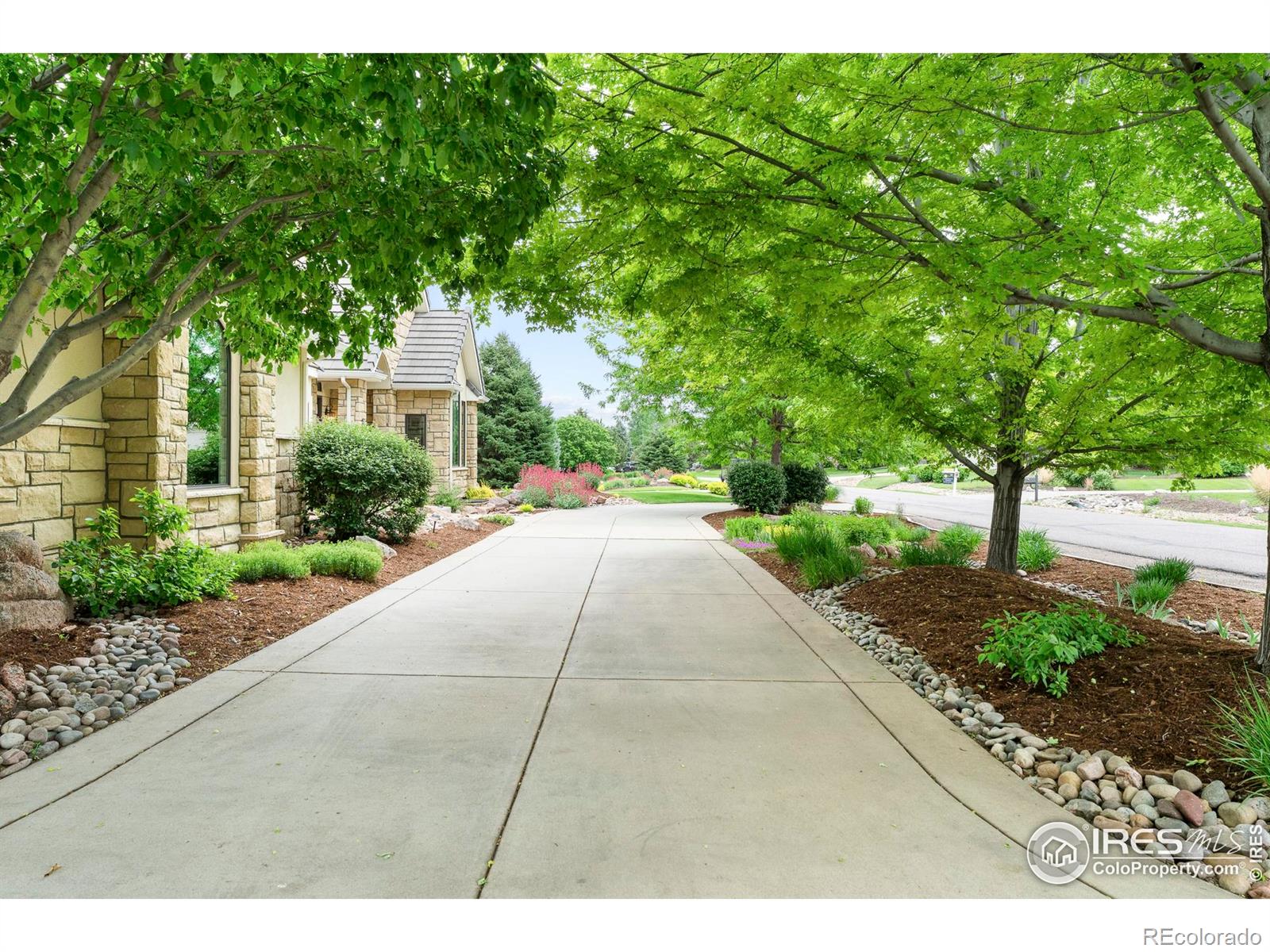 MLS Image #3 for 8911  little raven trail,niwot, Colorado