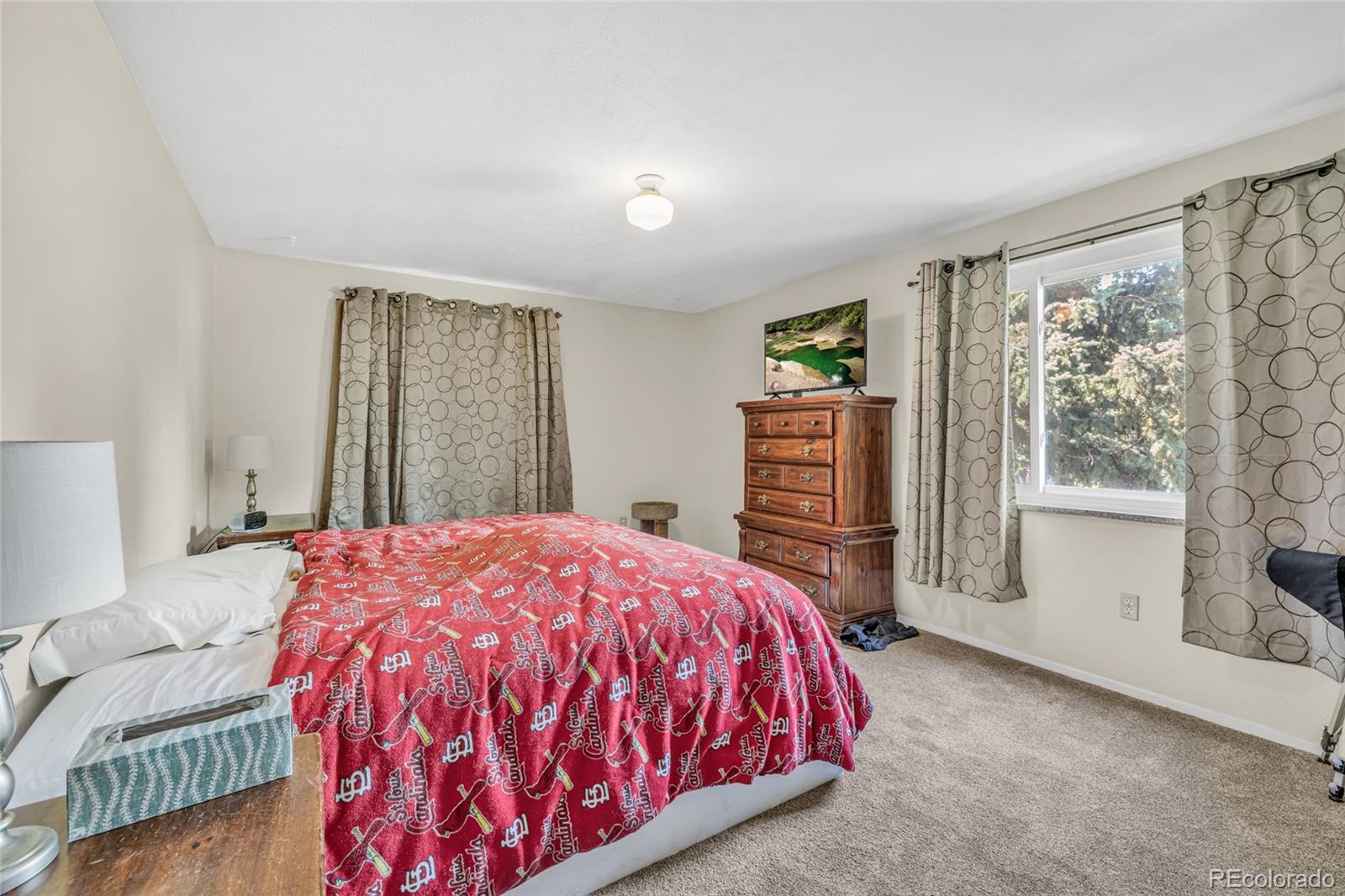 MLS Image #10 for 1830  zang street,golden, Colorado