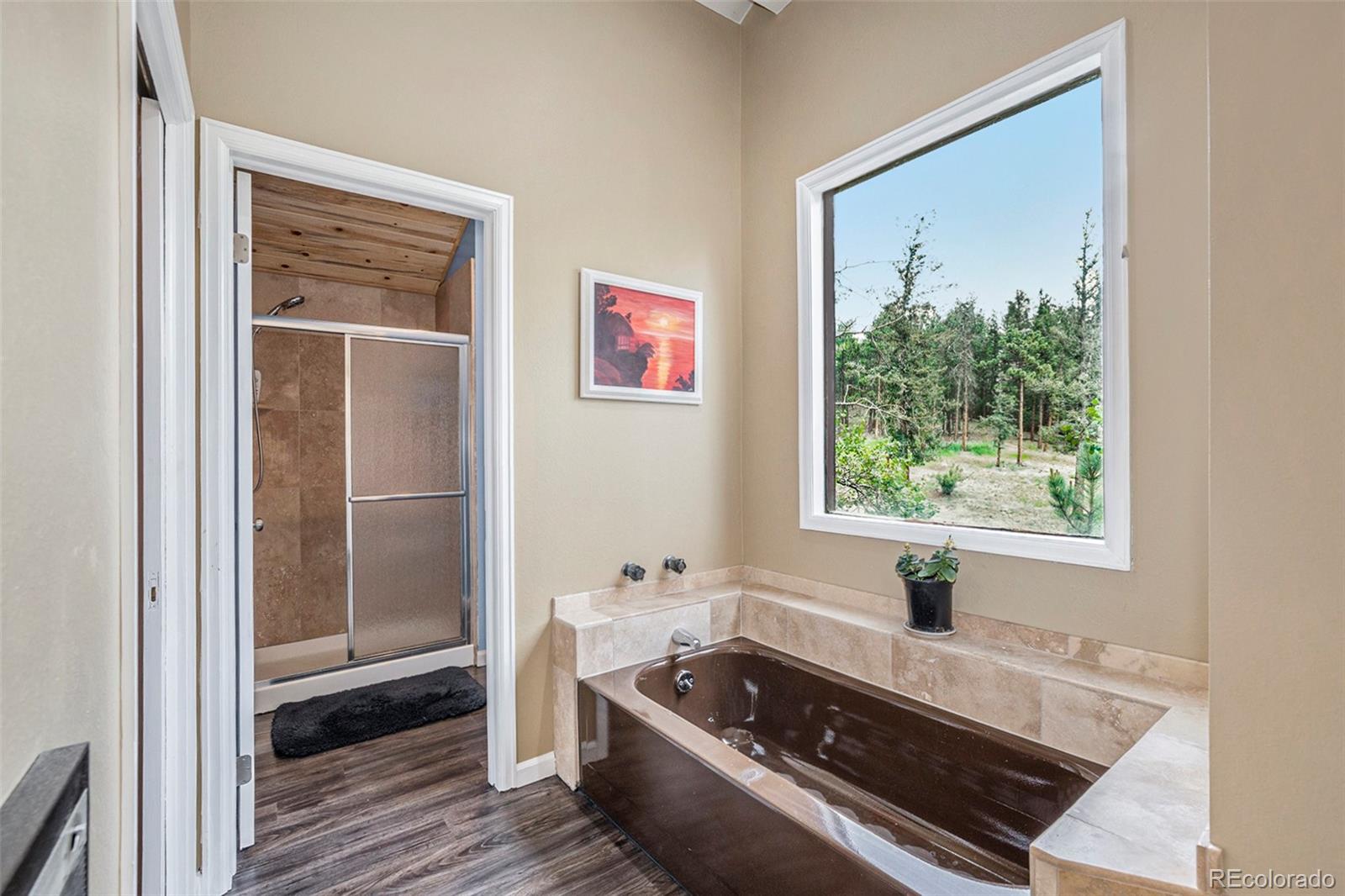 MLS Image #13 for 327  bounty hunter lane,bailey, Colorado