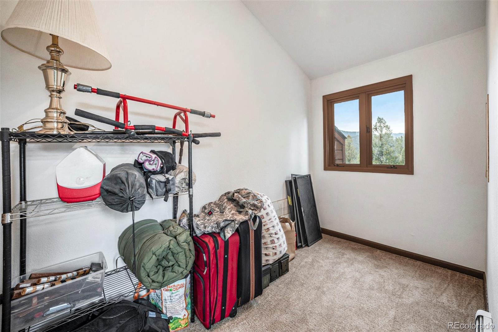 MLS Image #14 for 327  bounty hunter lane,bailey, Colorado