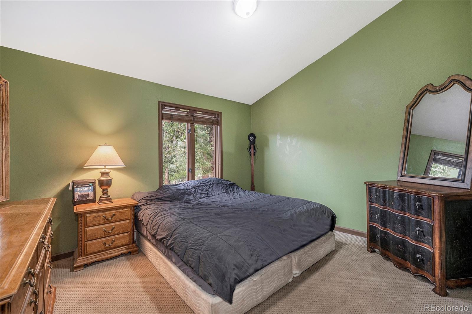 MLS Image #7 for 327  bounty hunter lane,bailey, Colorado