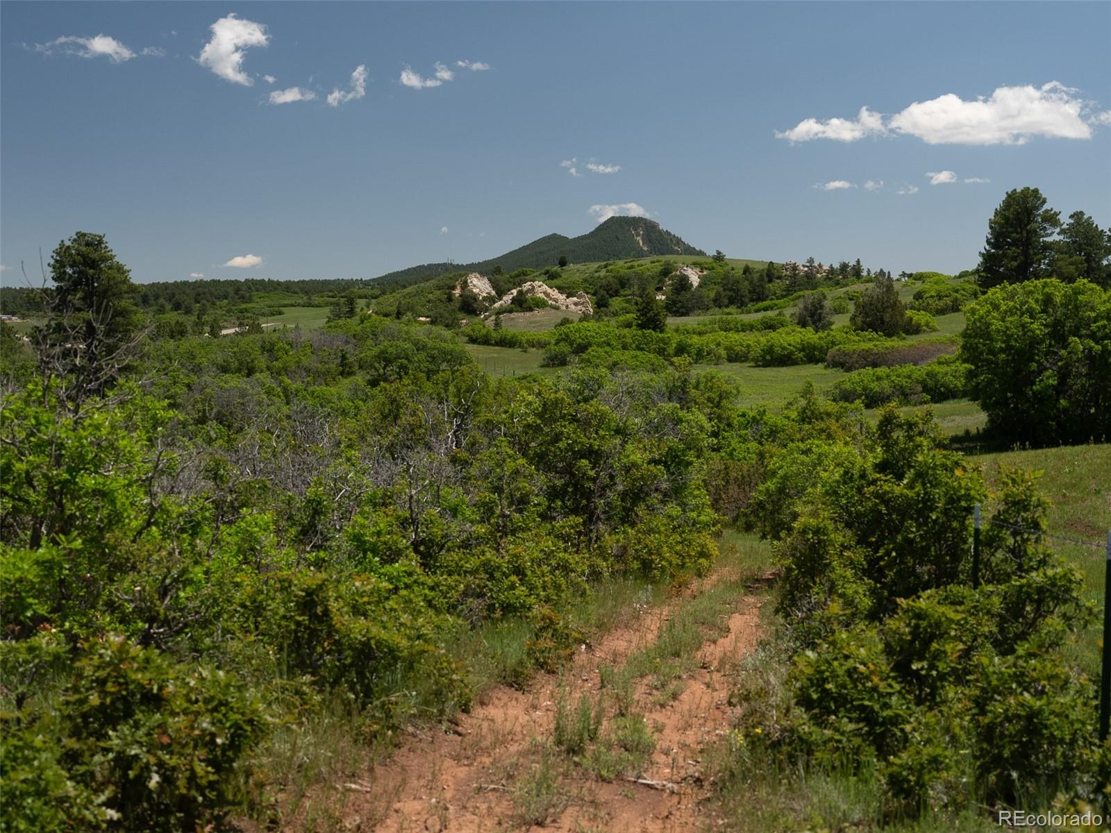 MLS Image #12 for 8821 s perry park road,larkspur, Colorado