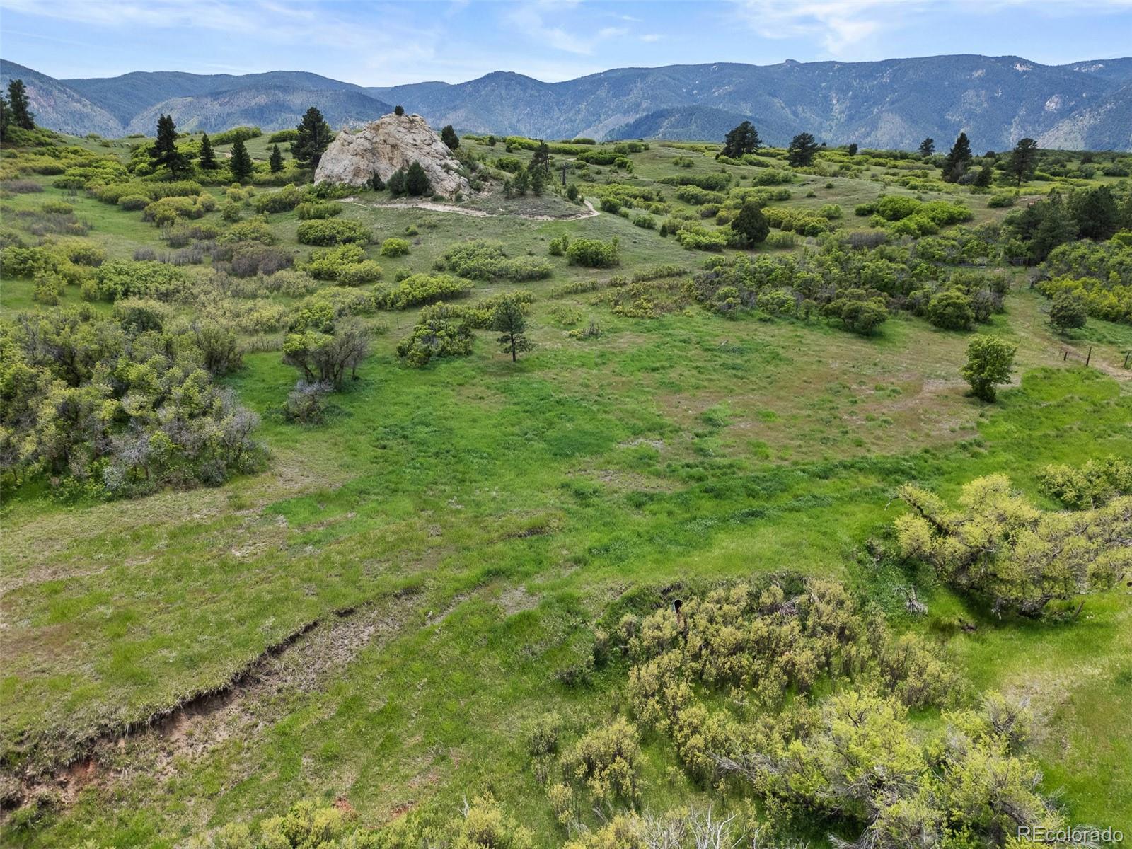 MLS Image #22 for 8821 s perry park road,larkspur, Colorado