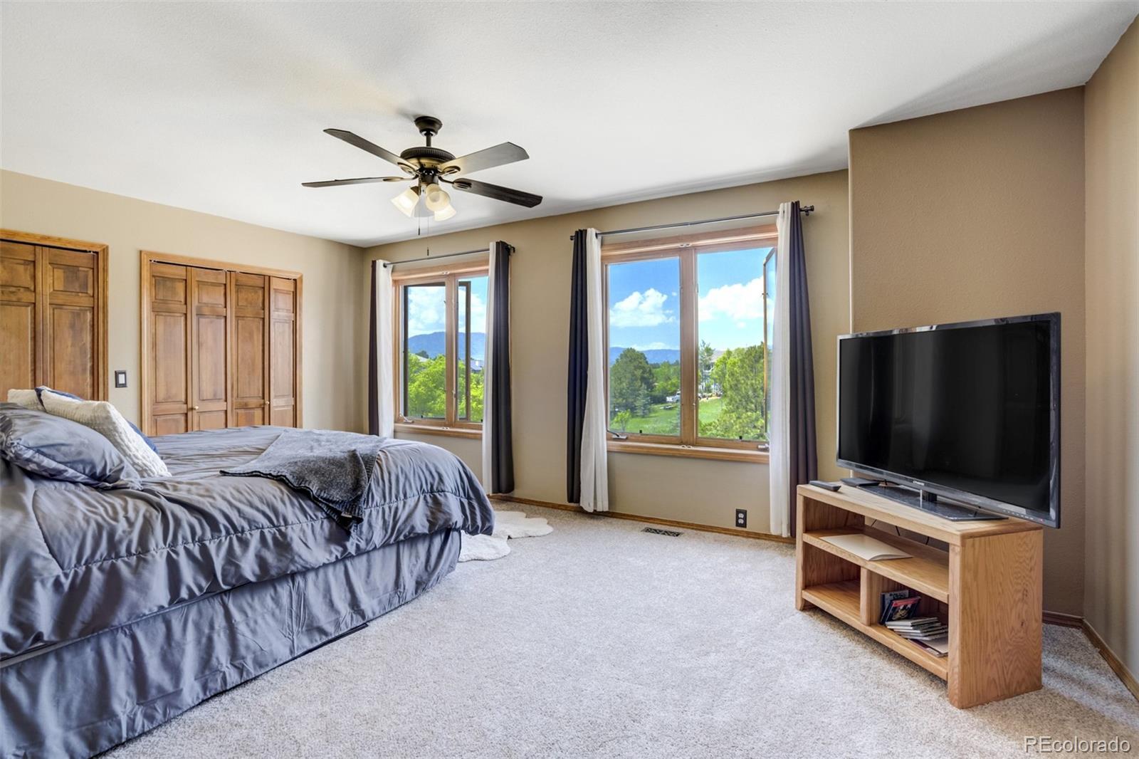 MLS Image #38 for 205  pauma valley drive,colorado springs, Colorado