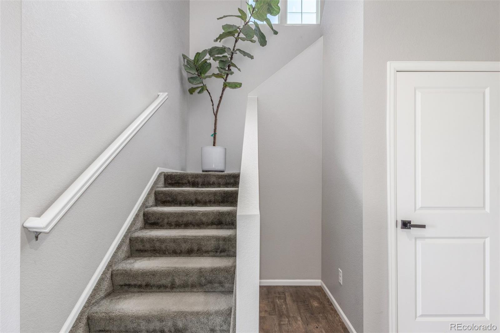 MLS Image #27 for 3168  raintree lane,dacono, Colorado
