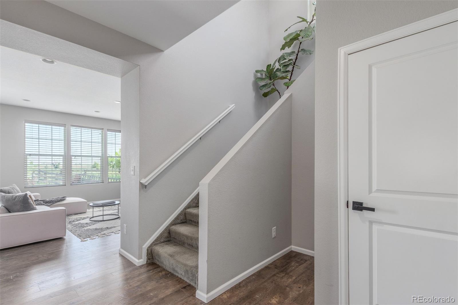MLS Image #3 for 3168  raintree lane,dacono, Colorado