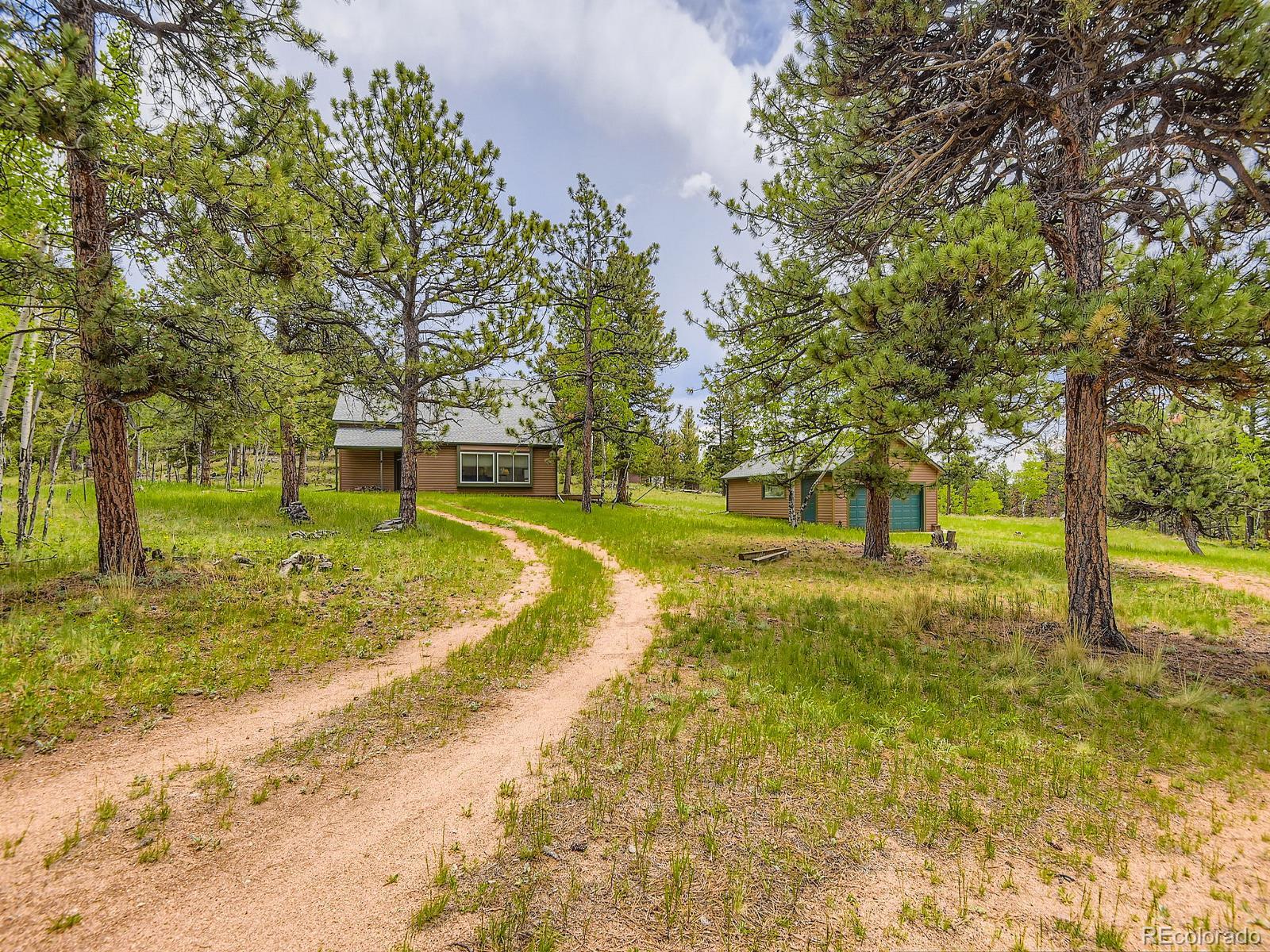 MLS Image #3 for 52  branding iron lane,bailey, Colorado