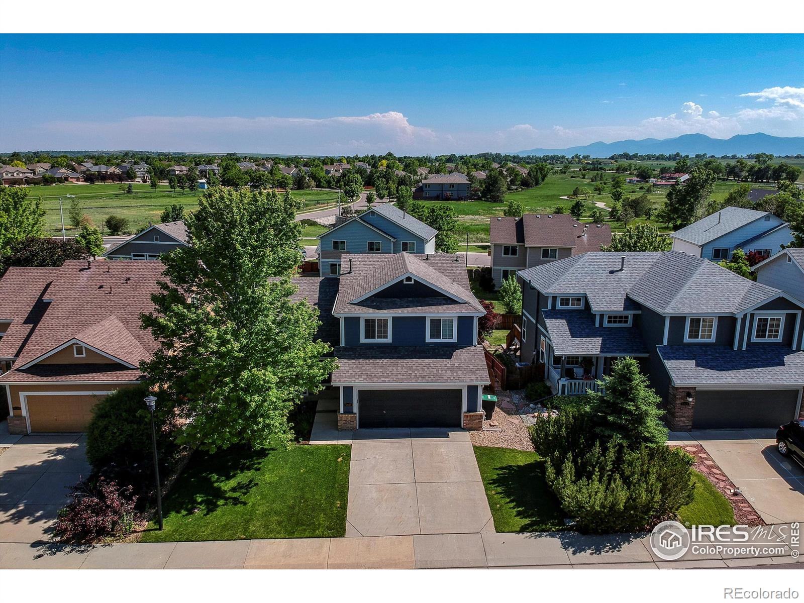 MLS Image #3 for 5609  mount sanitas avenue,longmont, Colorado