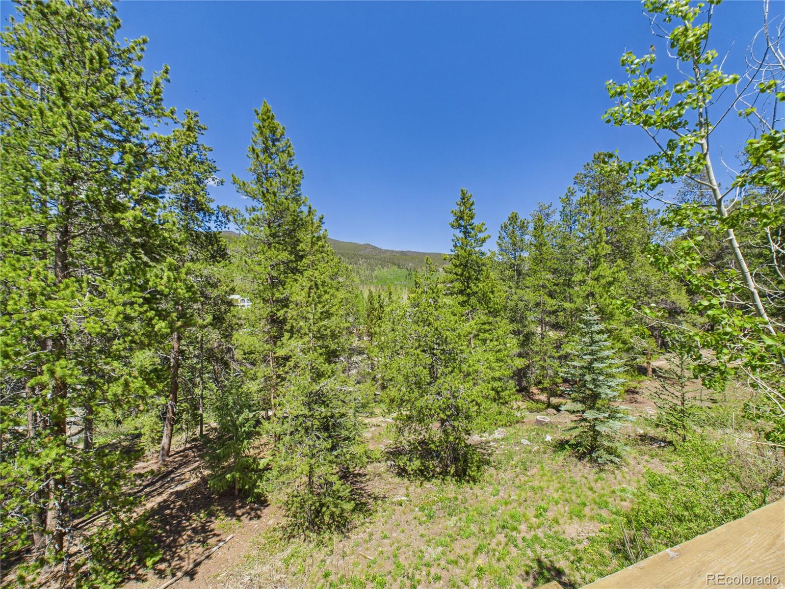 MLS Image #31 for 27  lake ridge circle,dillon, Colorado