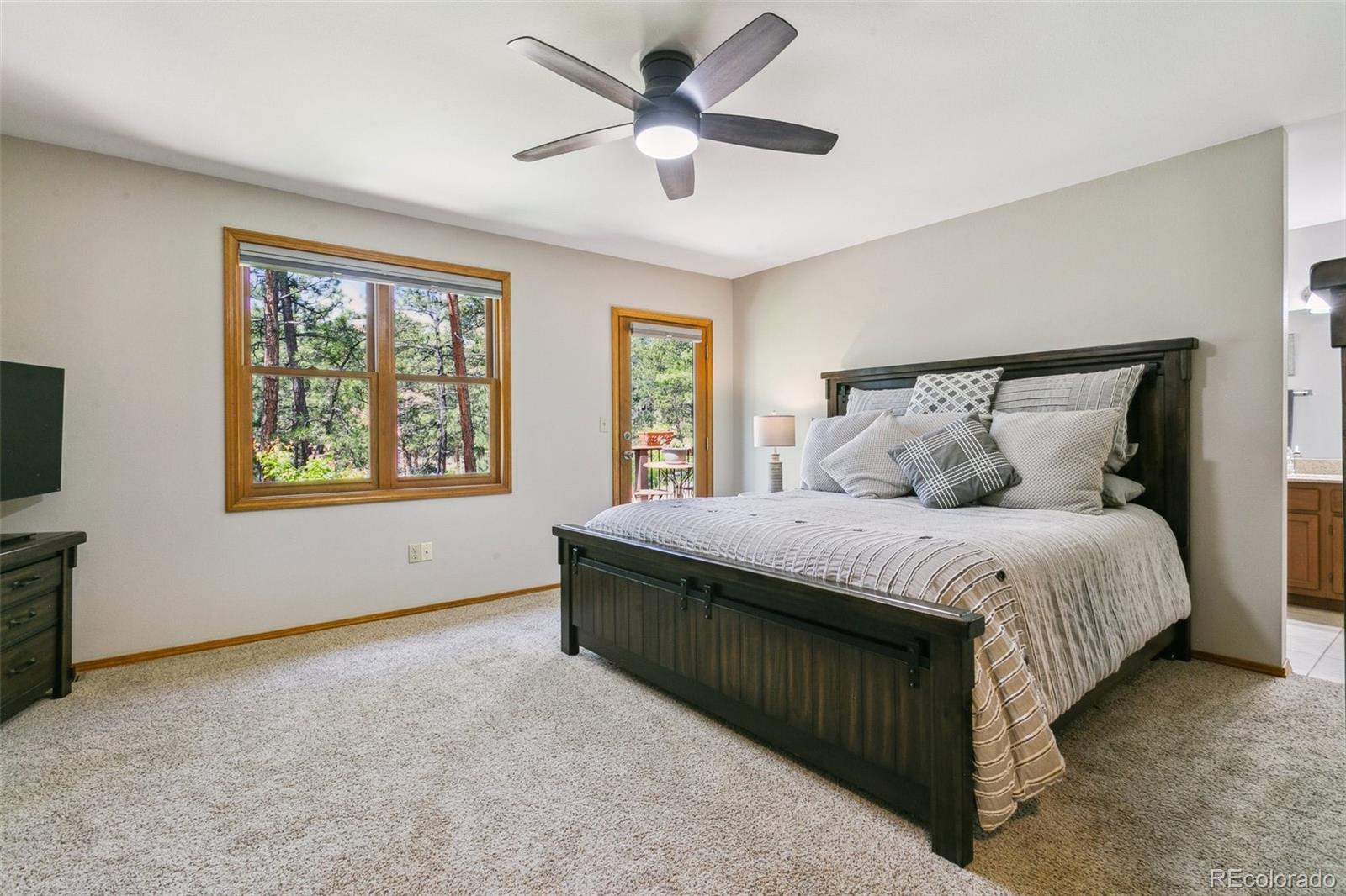 MLS Image #20 for 1350  spring valley drive,colorado springs, Colorado