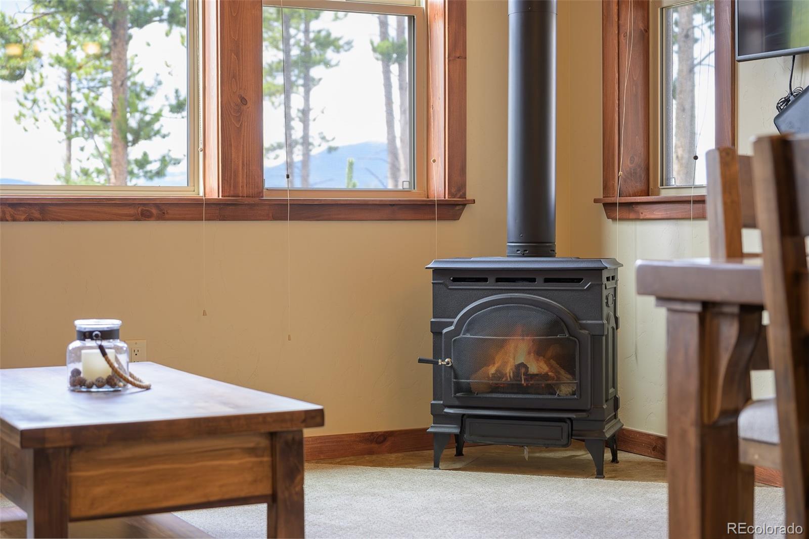 MLS Image #10 for 145  cozens pointe ,fraser, Colorado